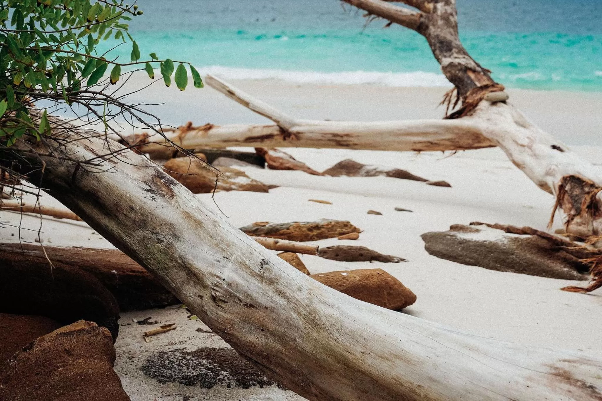 Natural landscape in Saboga Lodge