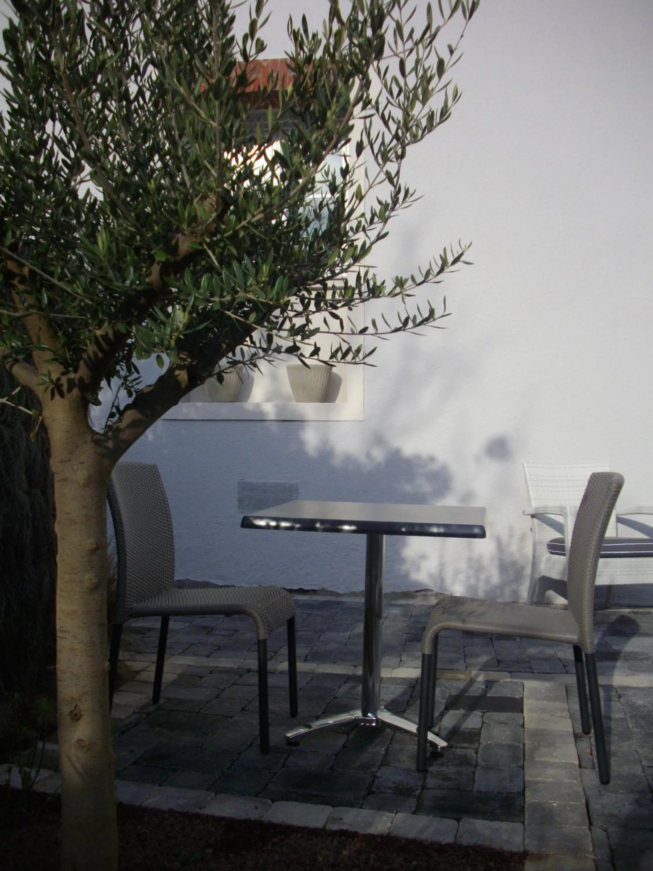 Patio in Hotel Mona Lisa