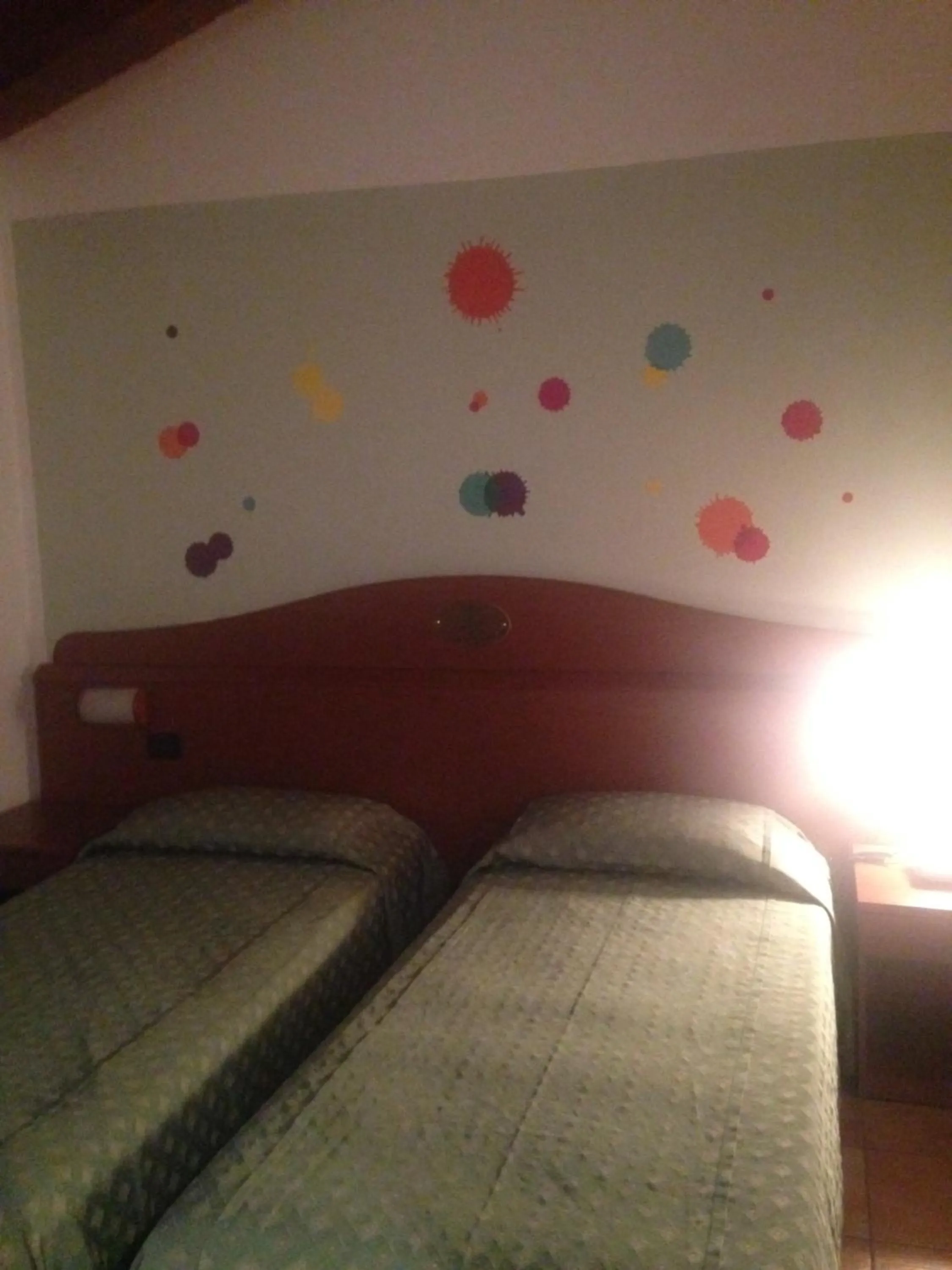 Photo of the whole room in Hotel Conte Luna