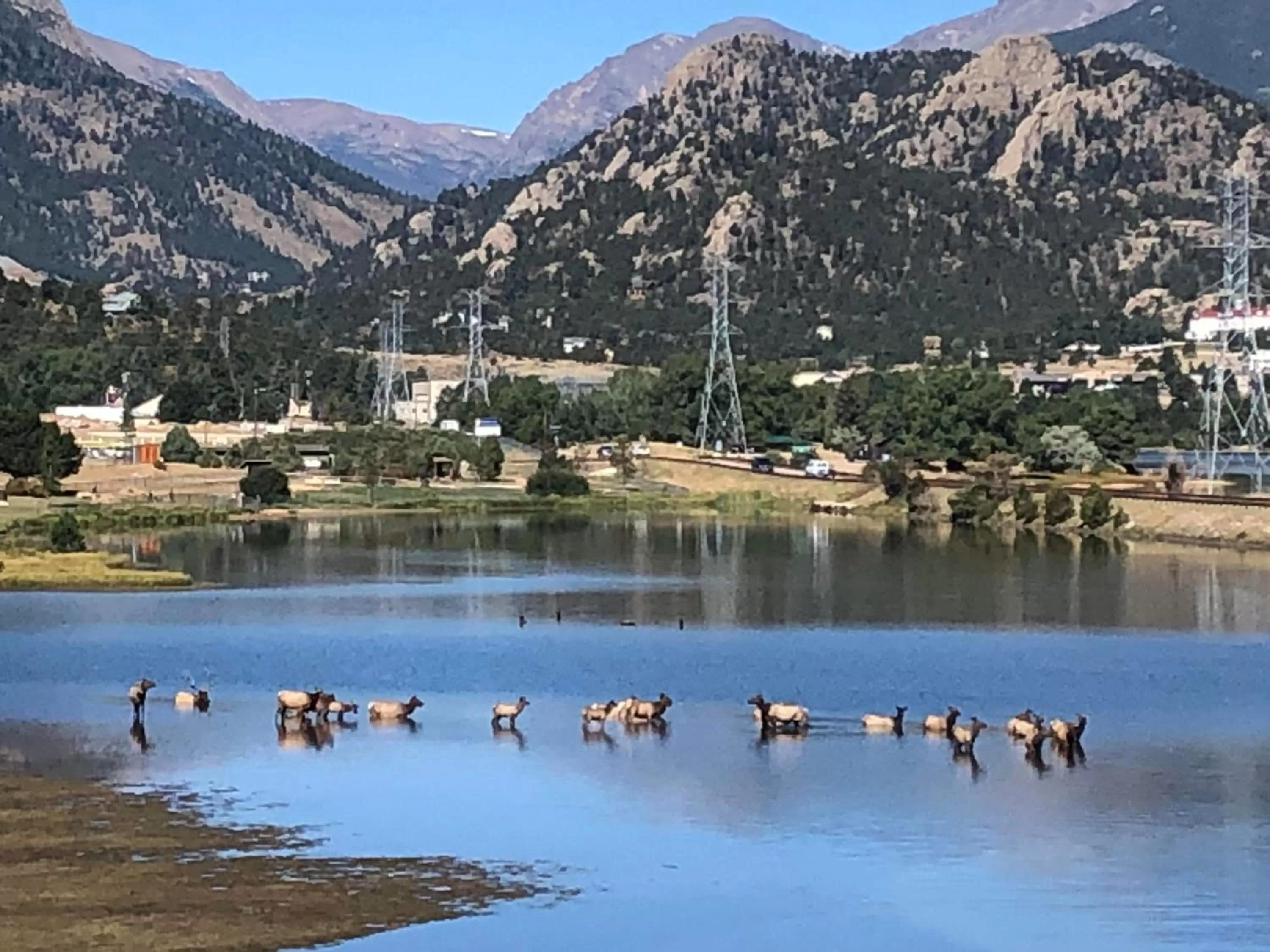 Estes Lake Lodge