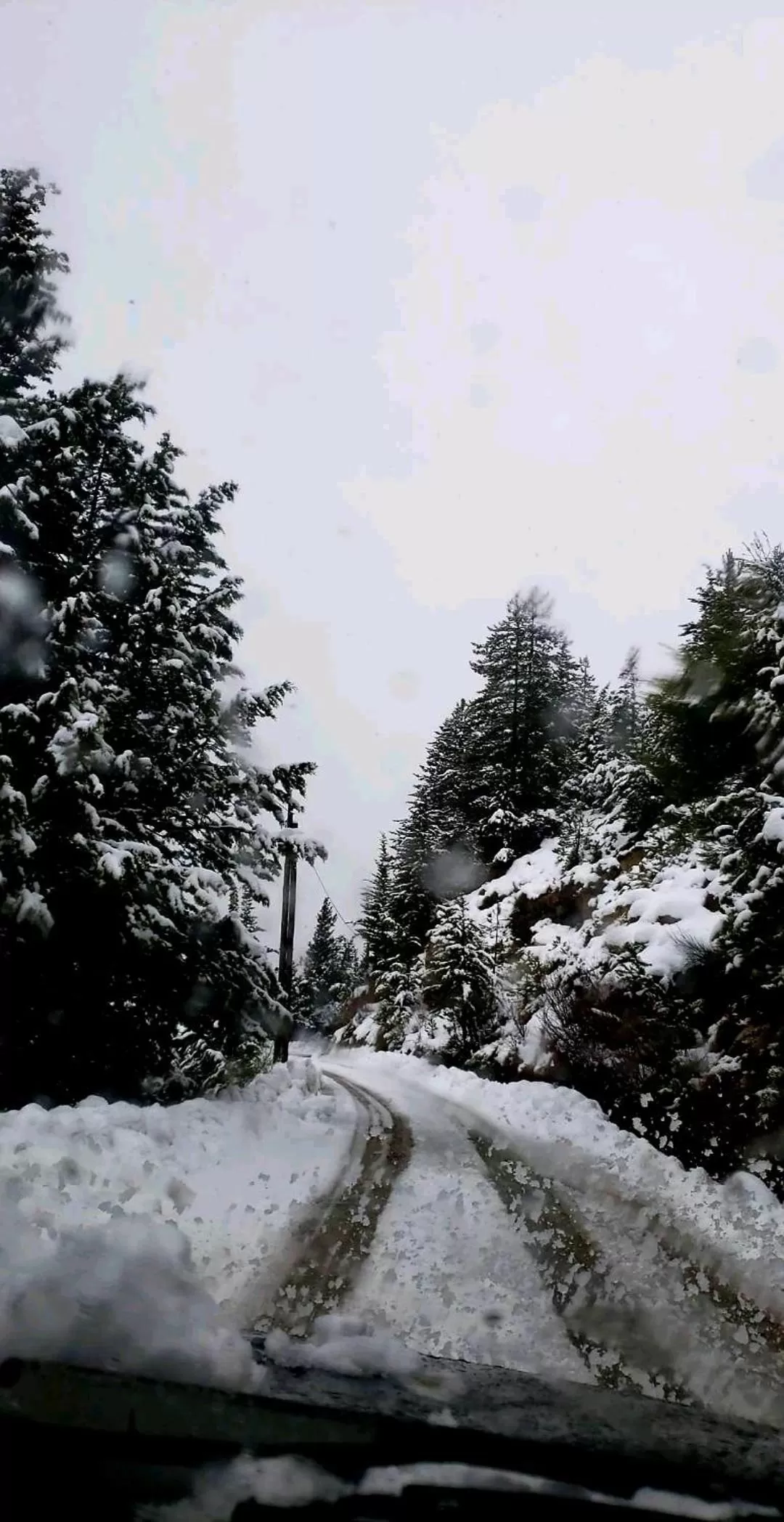 Winter in Hotel L'Aiglon