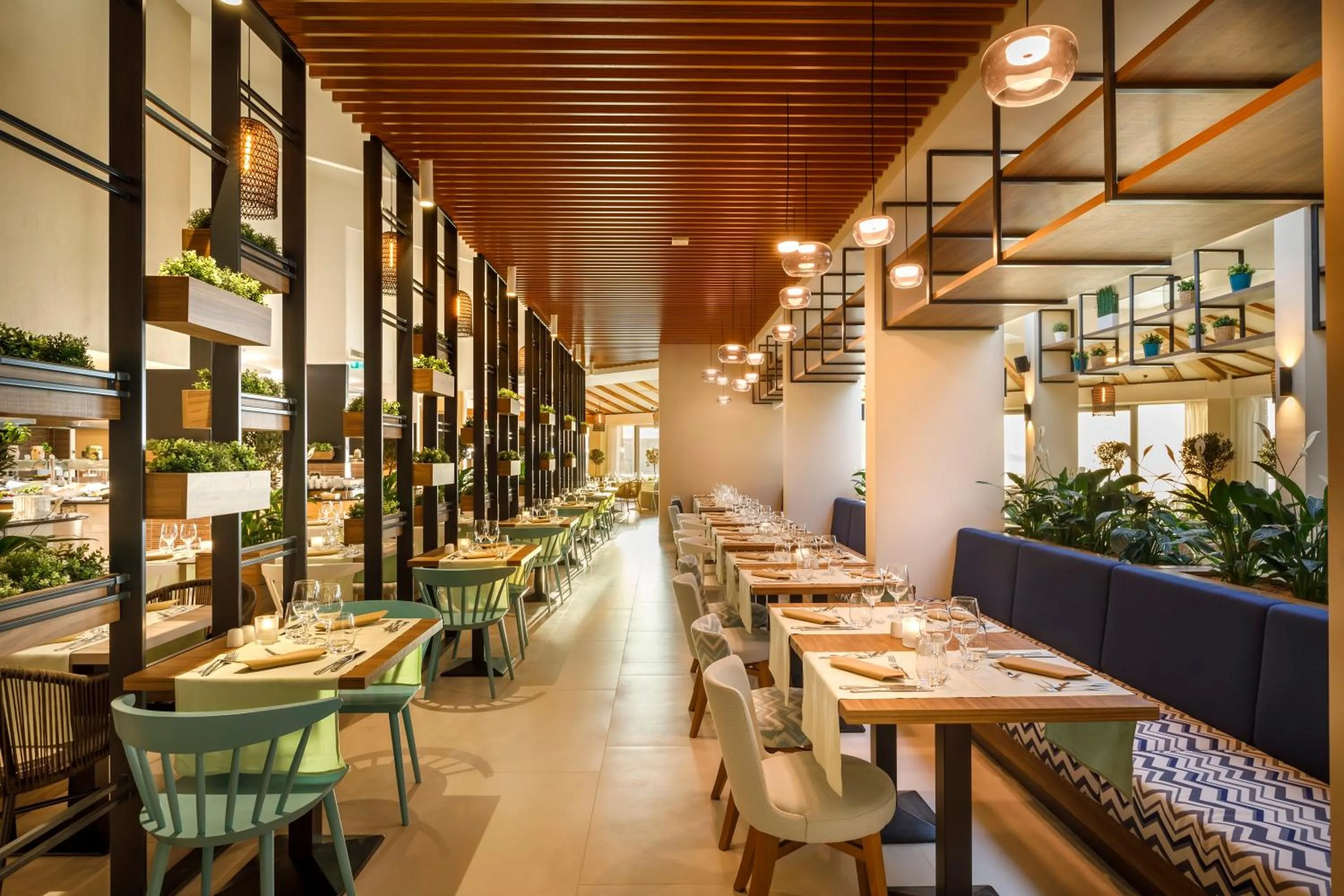 Restaurant/places to eat in Valamar Argosy Hotel