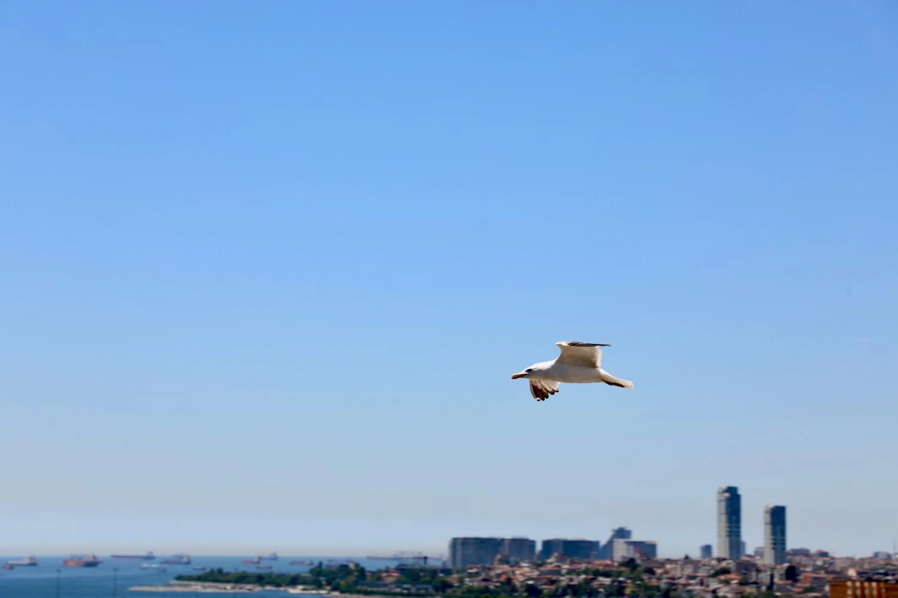 Day in Istanbul Royal Hotel