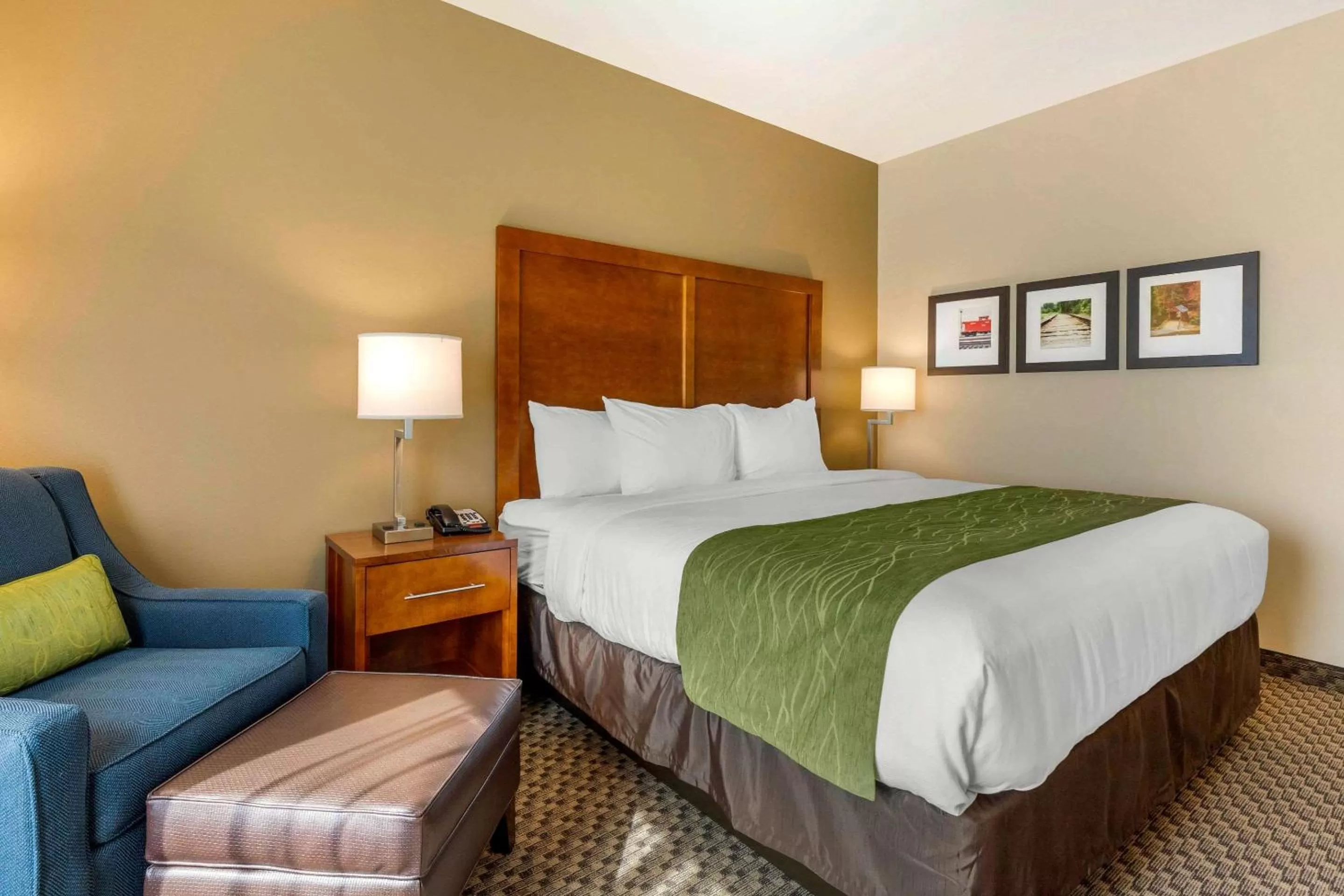 Photo of the whole room, Bed in Comfort Inn & Suites Florence Center Area