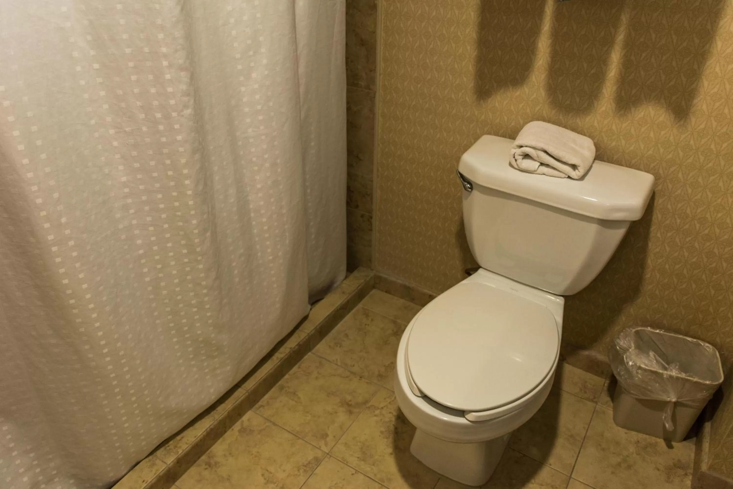 Day in Holiday Inn Express Saltillo Zona Aeropuerto by IHG