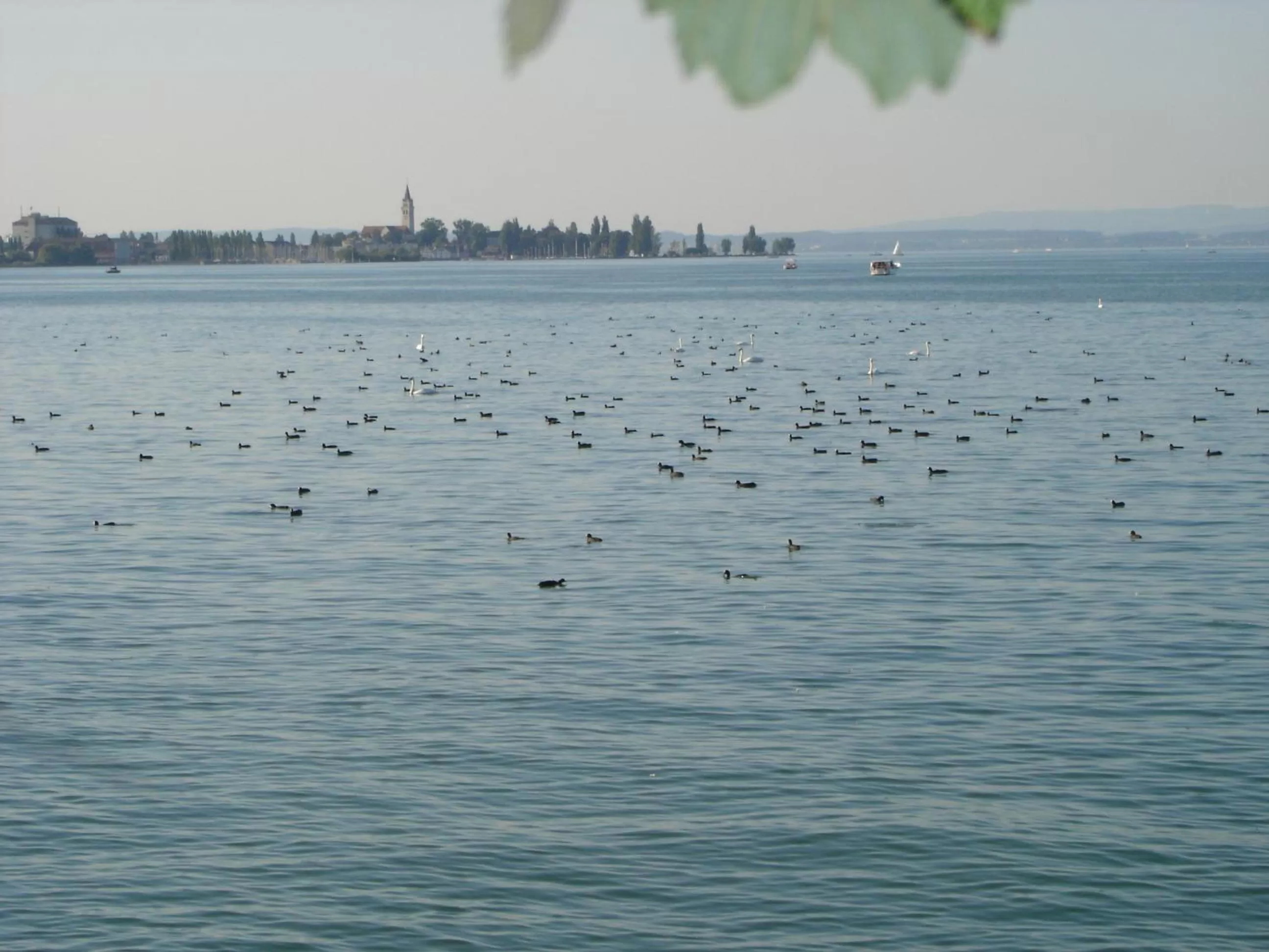 Natural landscape in Landgasthof Seelust