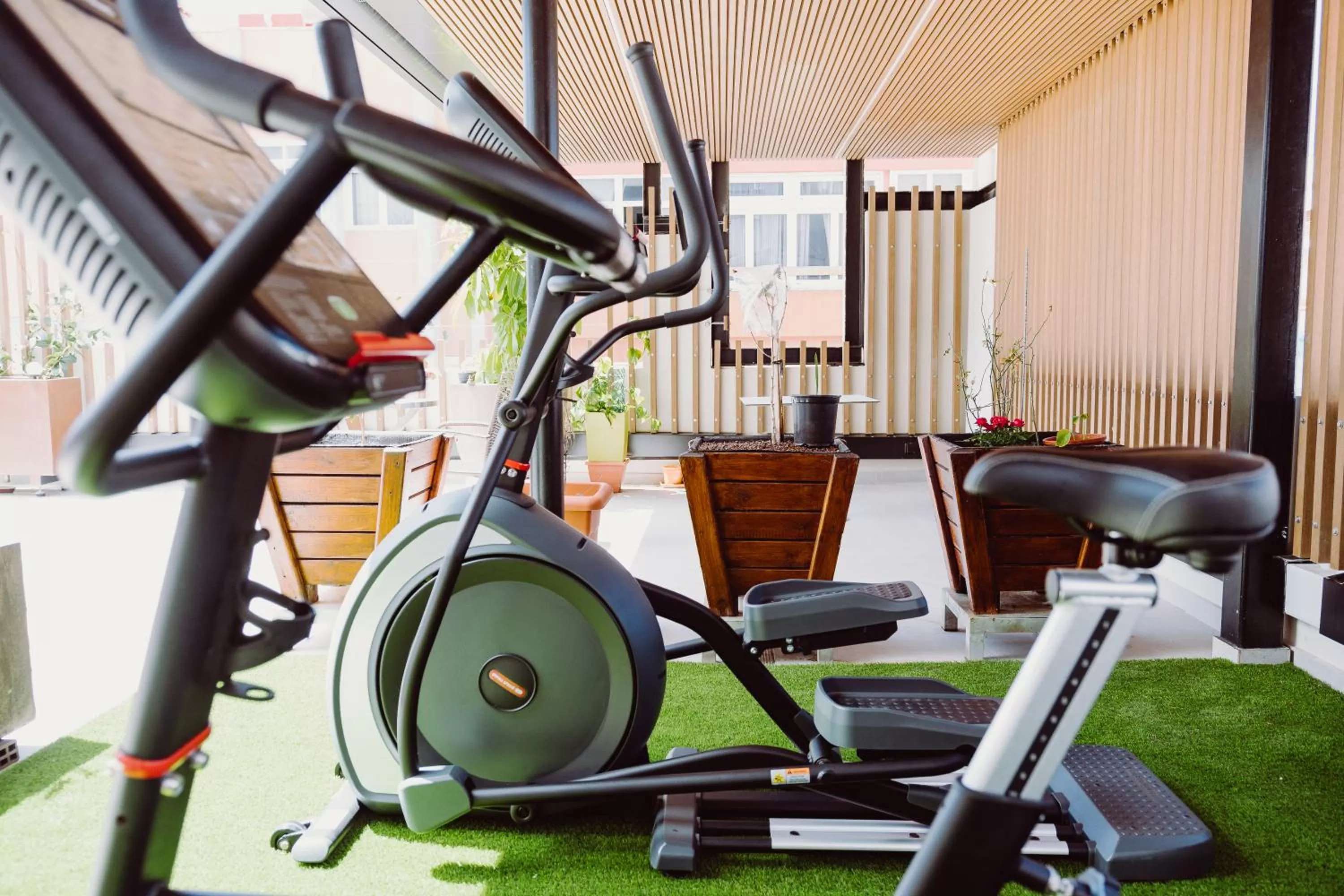 Entertainment in Catalina Plaza Hotel Sostenible