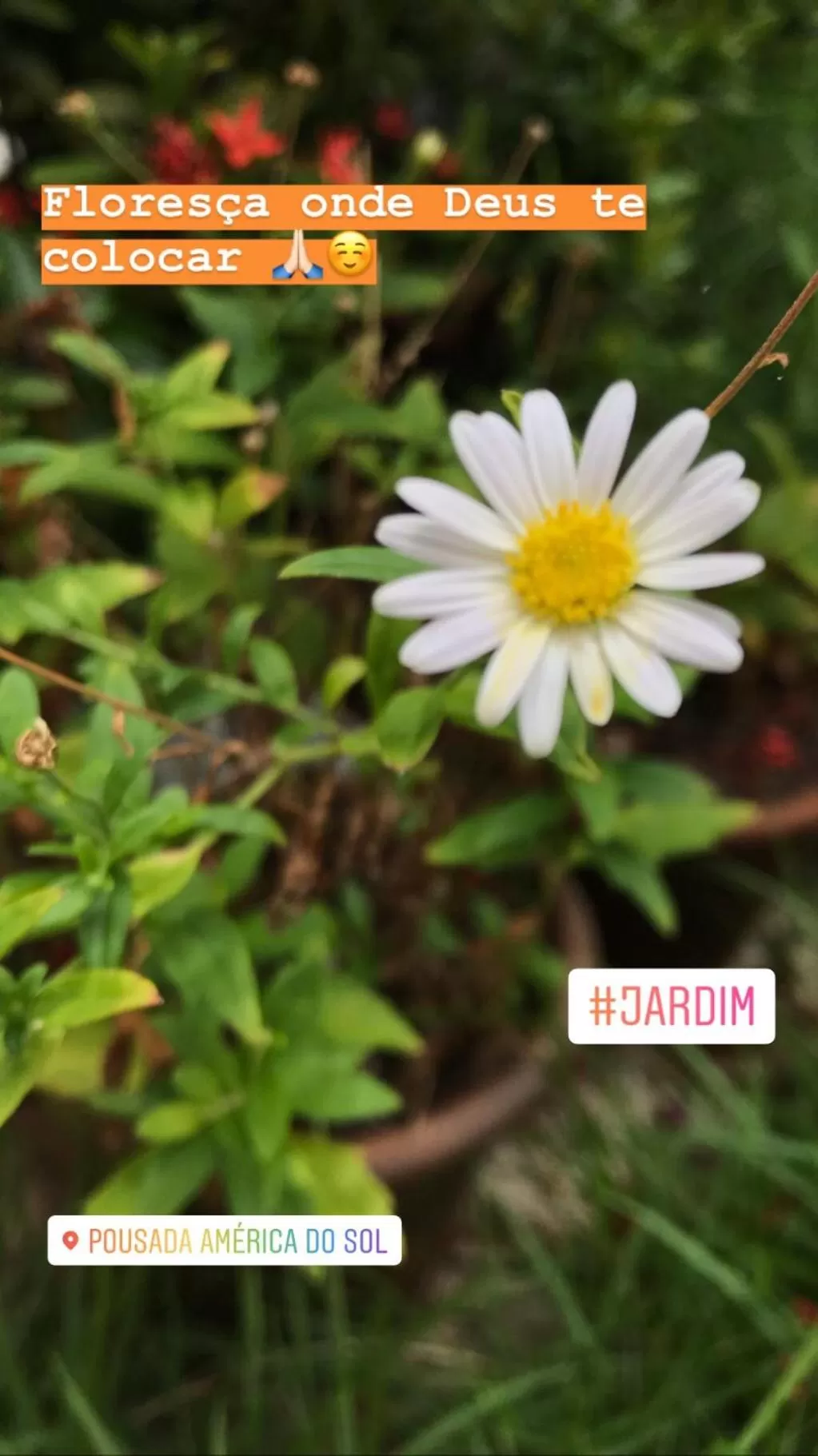 Garden in Pousada America do Sol