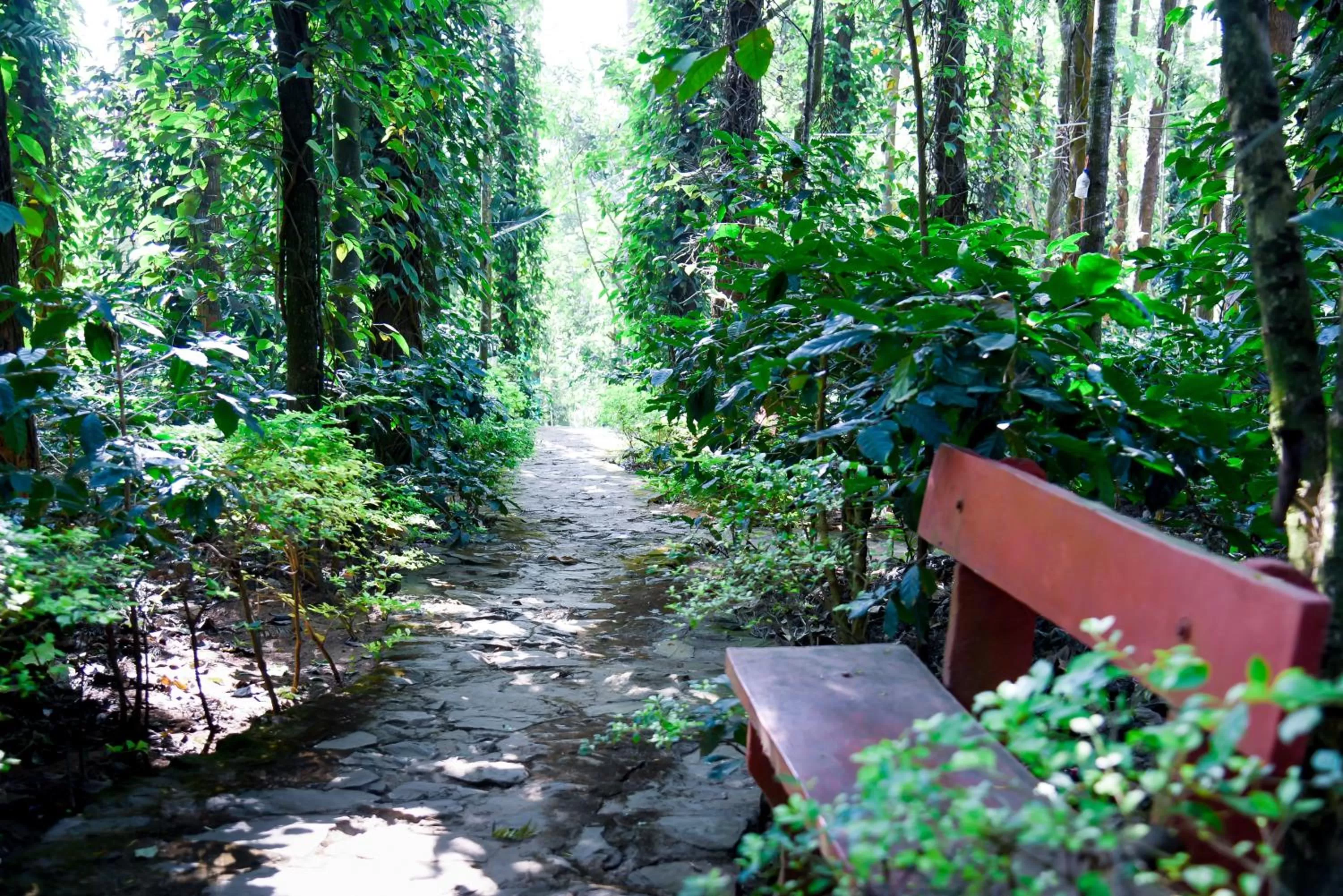 Garden in The Spectrum Resort, Chikmagalur