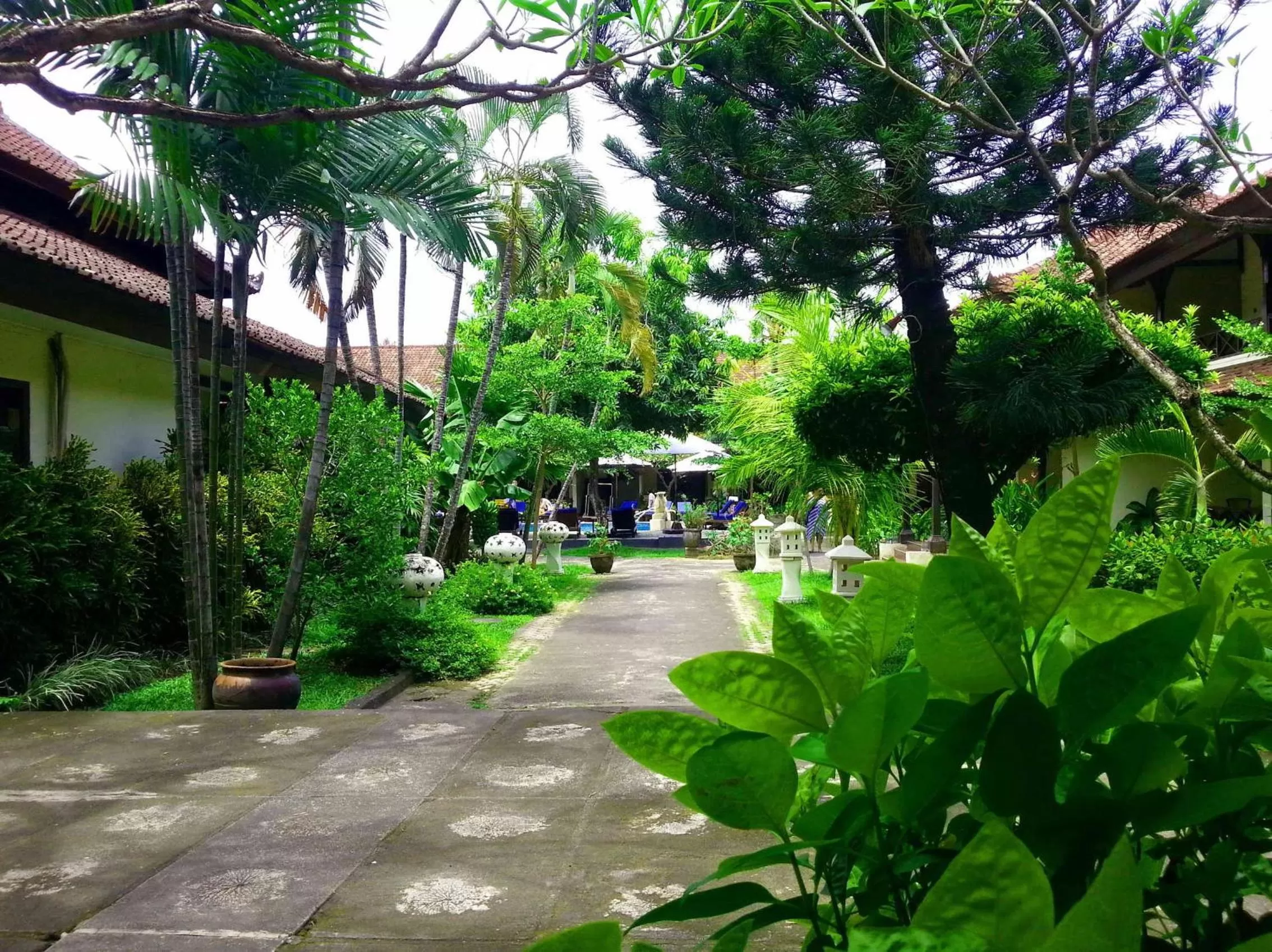 Garden in Legian Paradiso Hotel