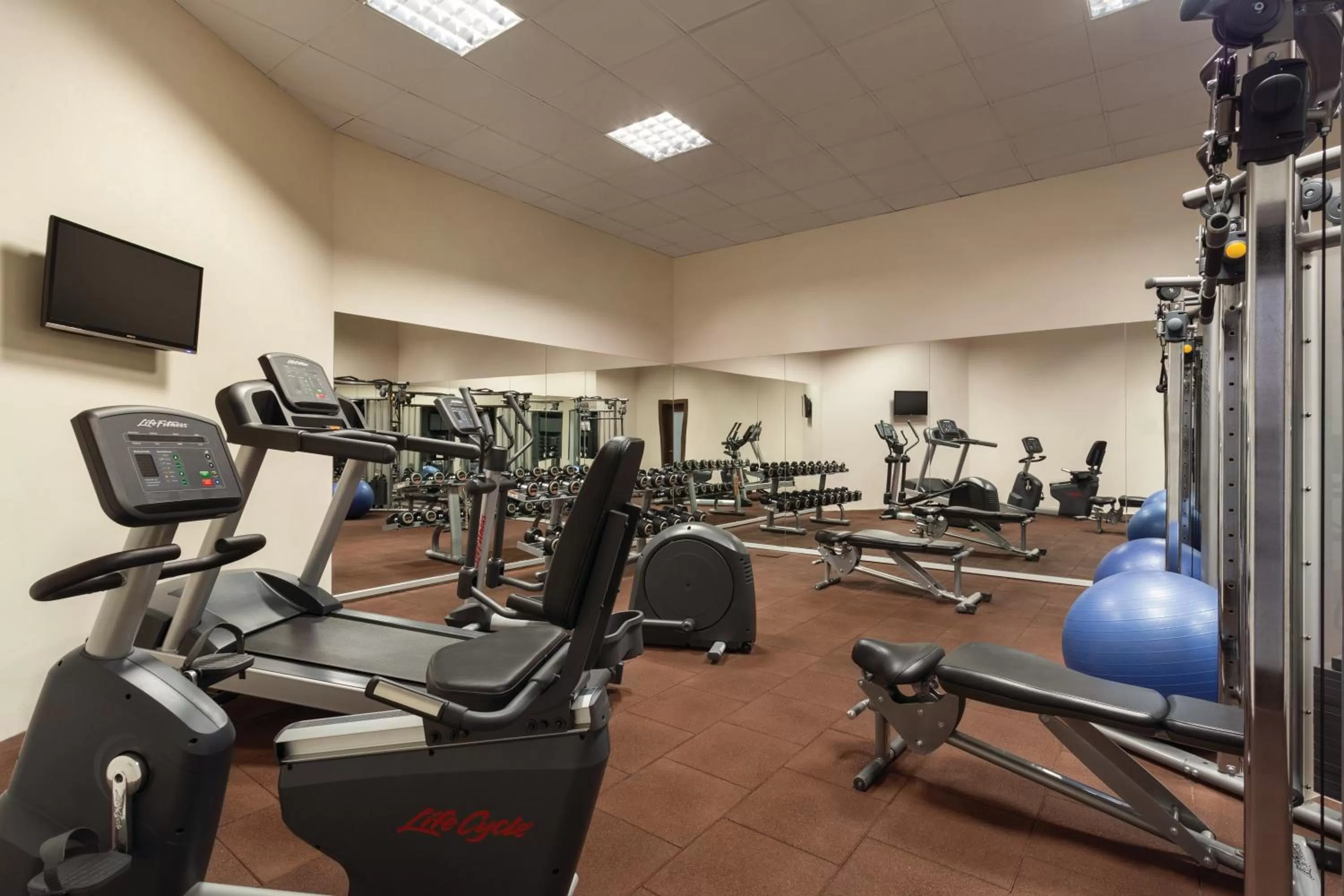 Fitness centre/facilities in Ramada Plaza By Wyndham Izmir