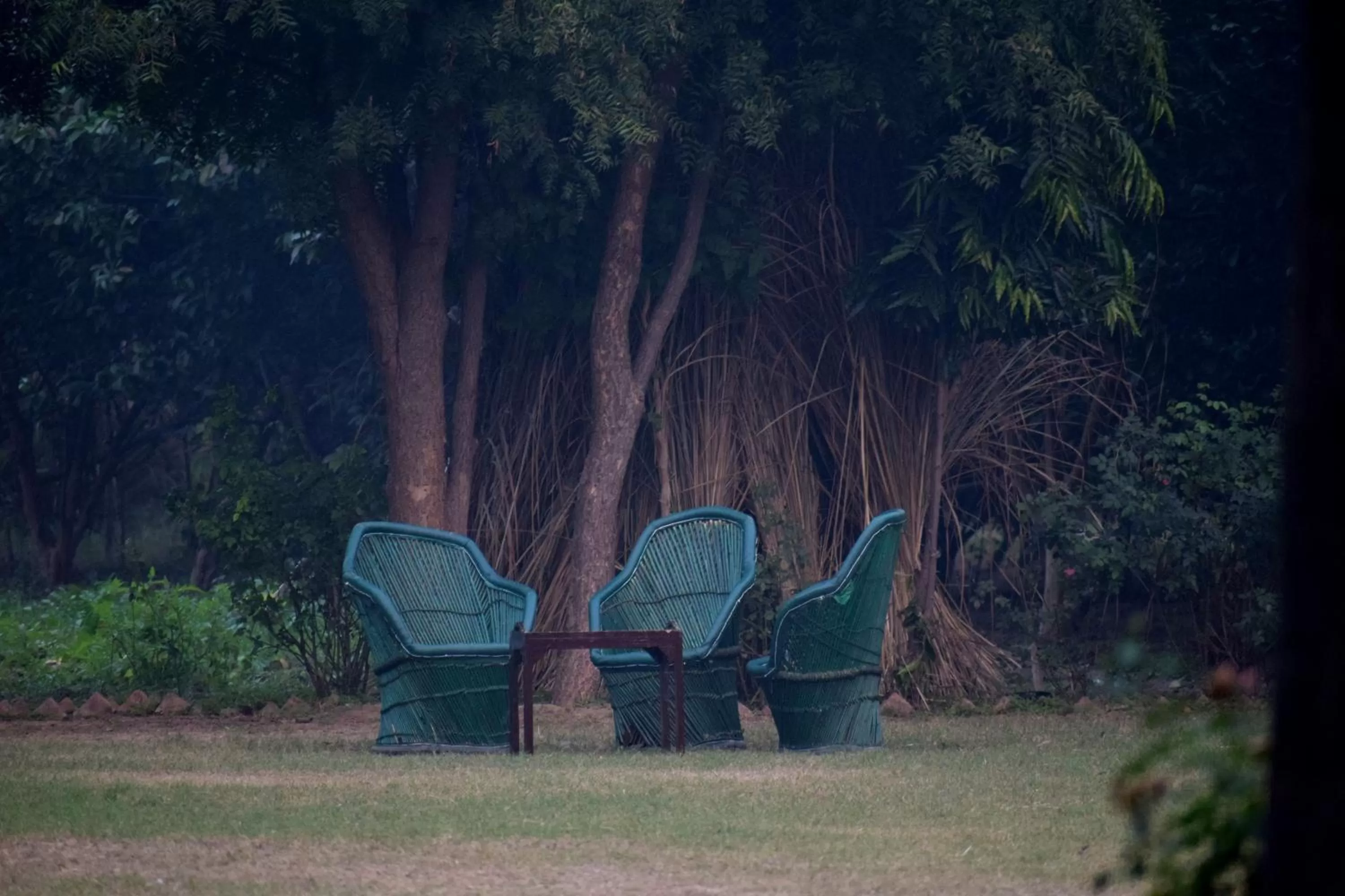 Garden in Sultan Bagh Resort by The Sky Imperial