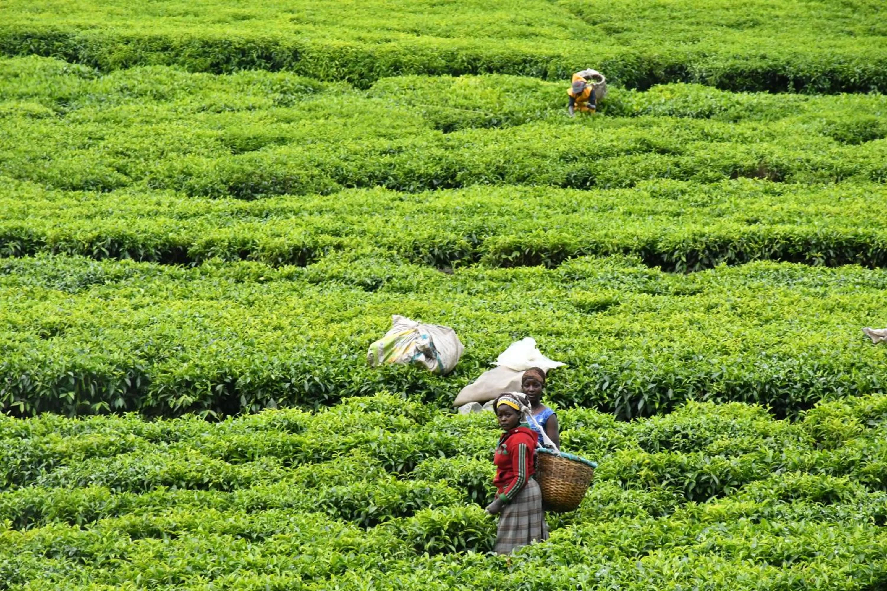 Day in Isange Paradise Resort