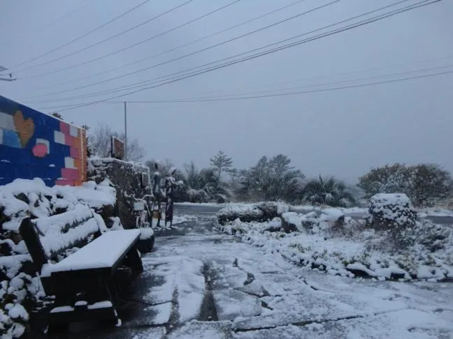 Facade/entrance in JEJU Doldam B&B