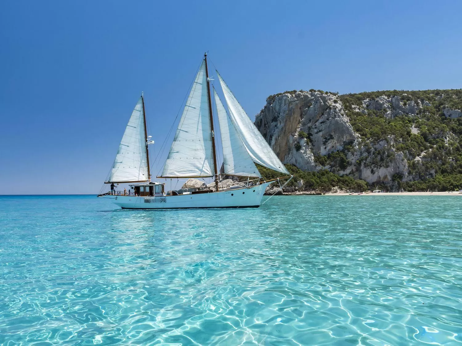 Staff in Il Nuovo Gabbiano