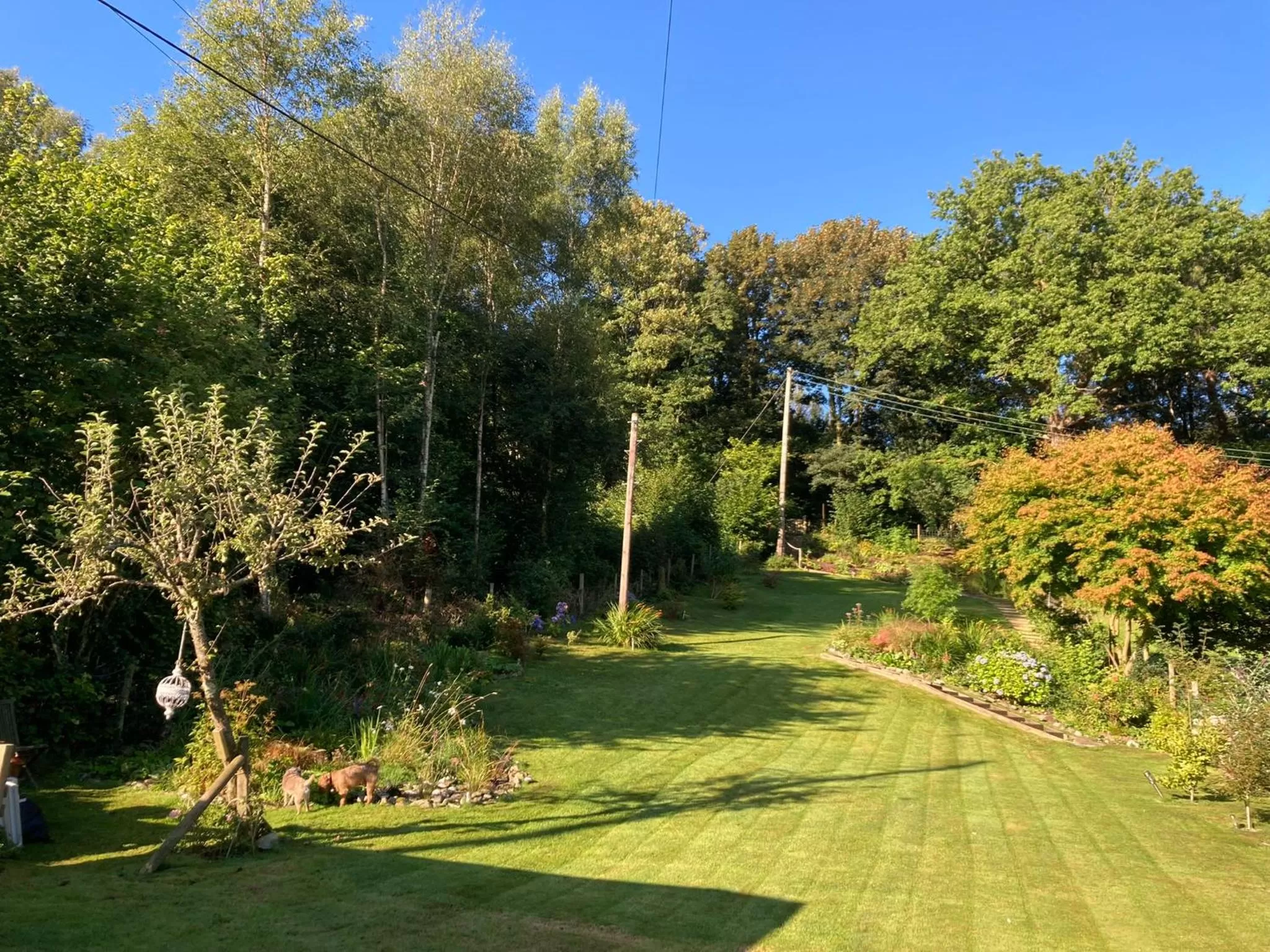 Garden view in Maple Bank Country Guest House