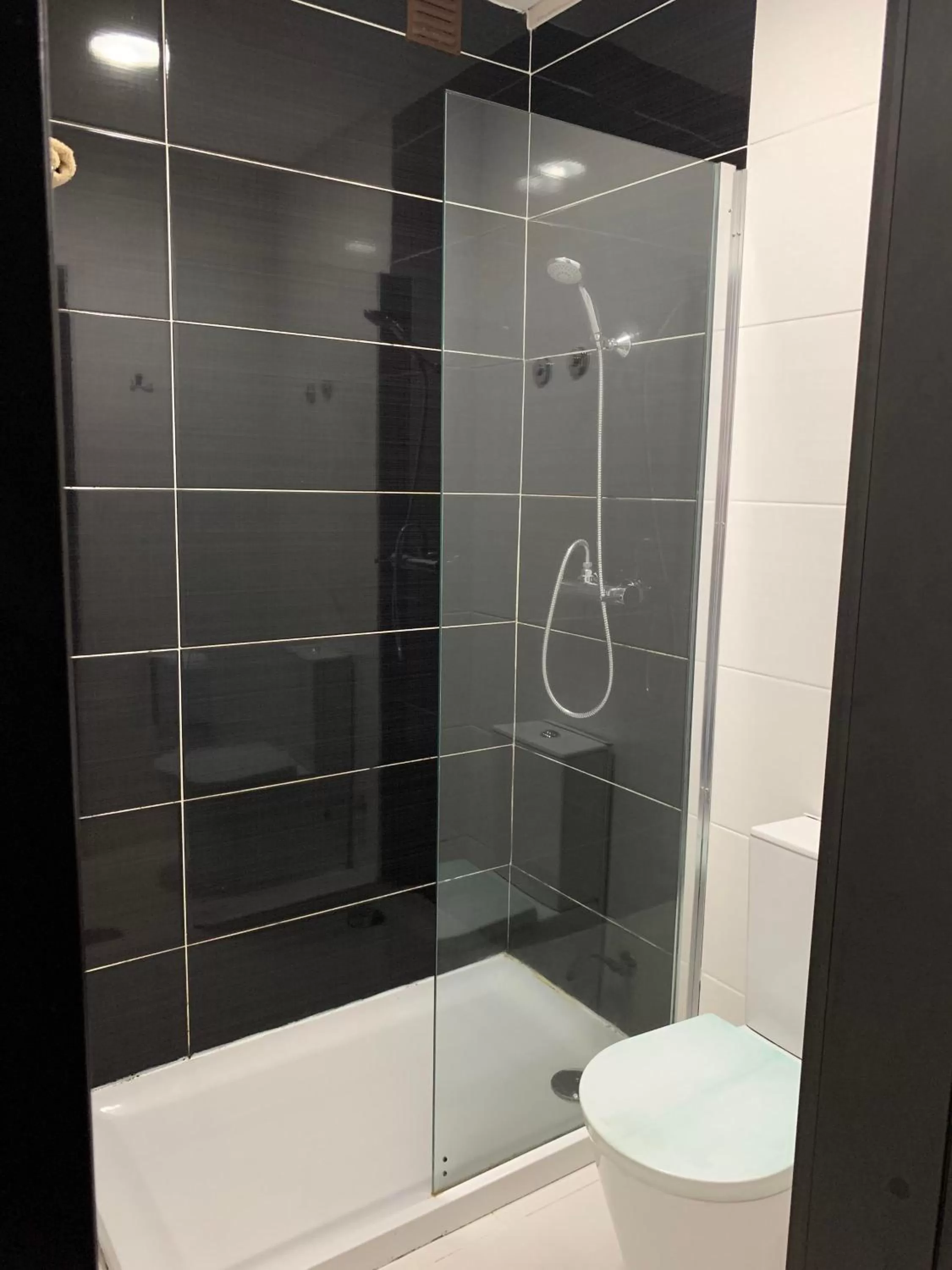 Triple Room in Hotel Areosa