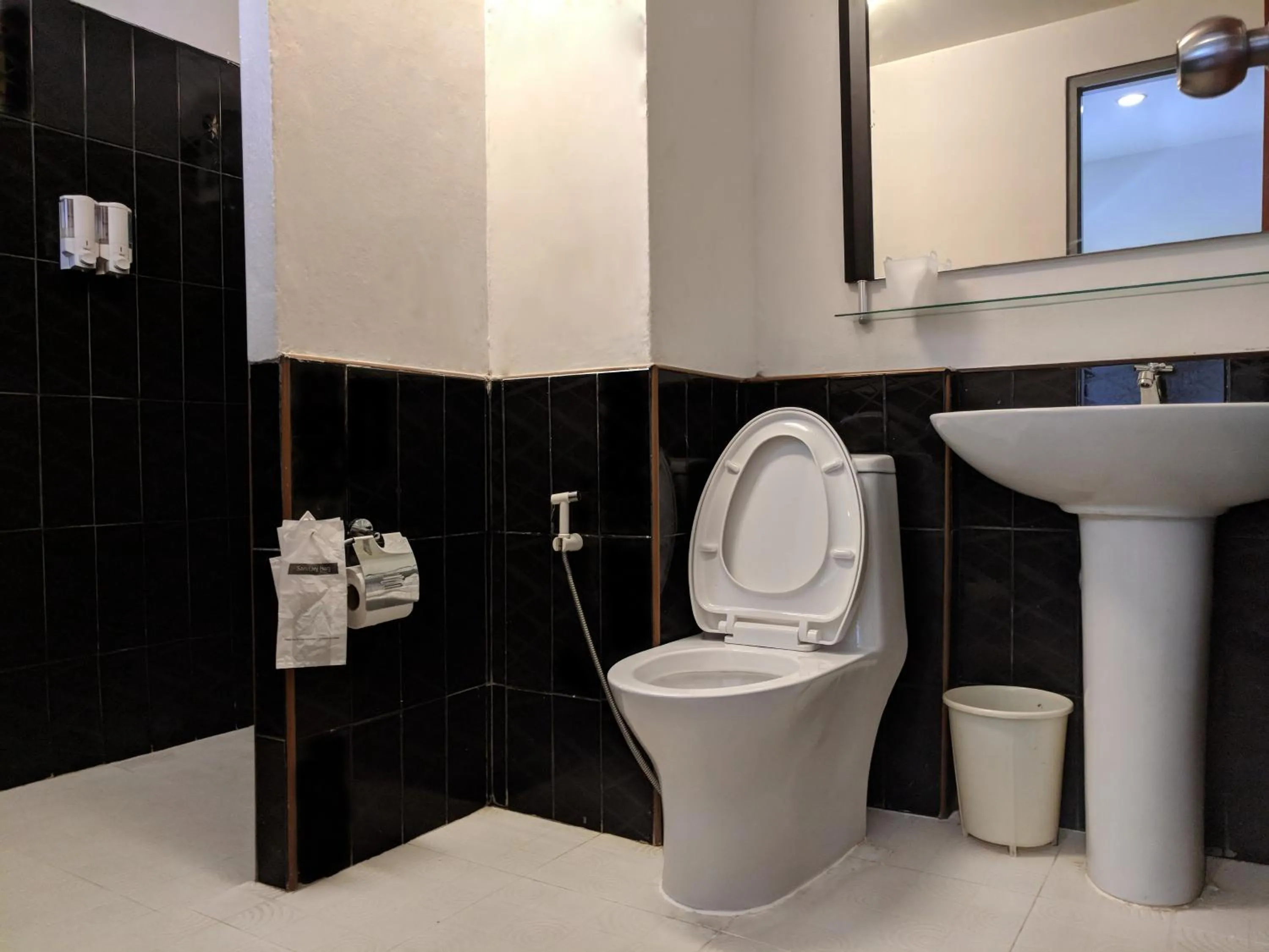 Toilet in Sino @ Thungsong