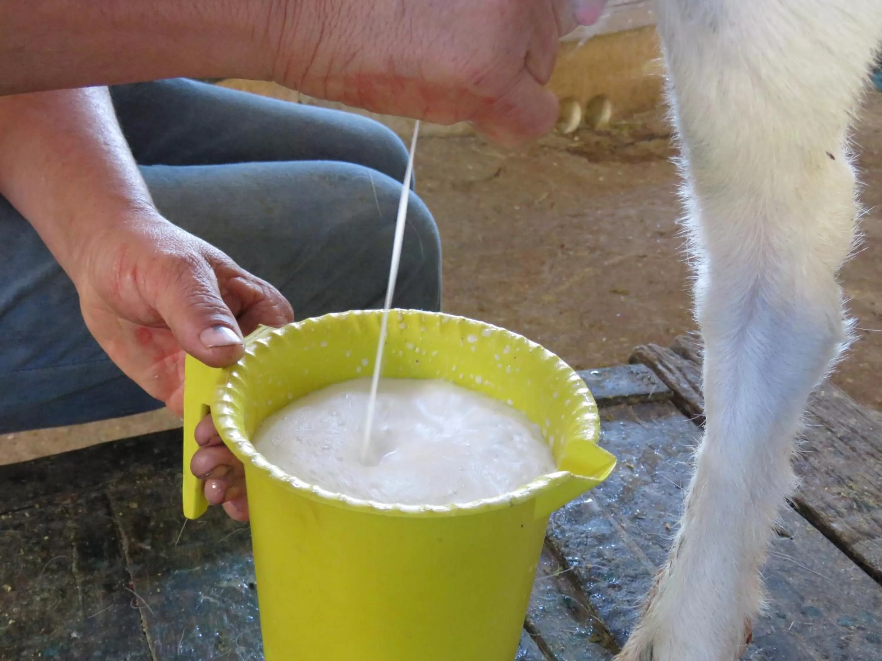 Property building in Lagoa Seca Hotel Rural