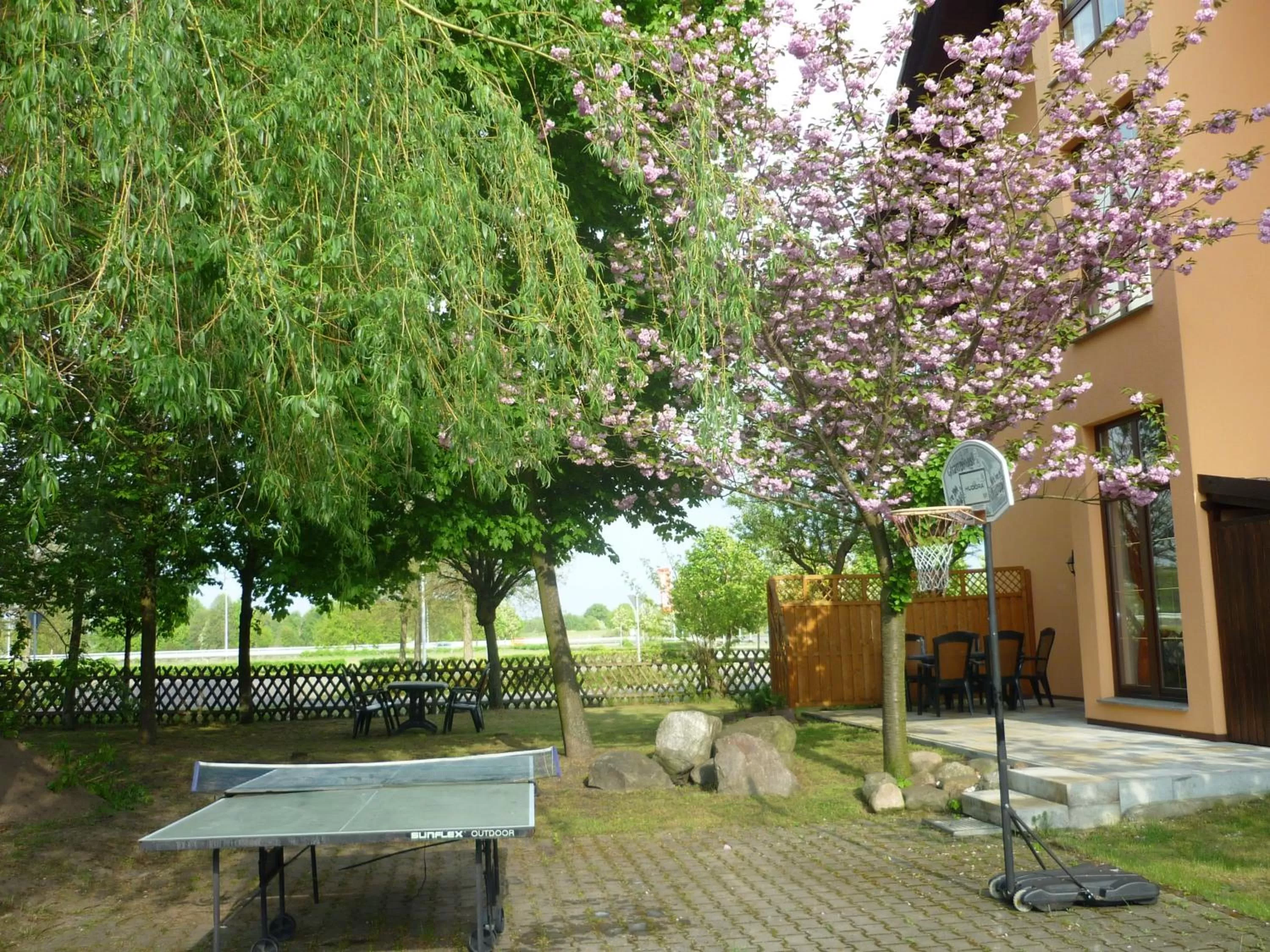 Table tennis, Garden in Willmersdorfer Hof