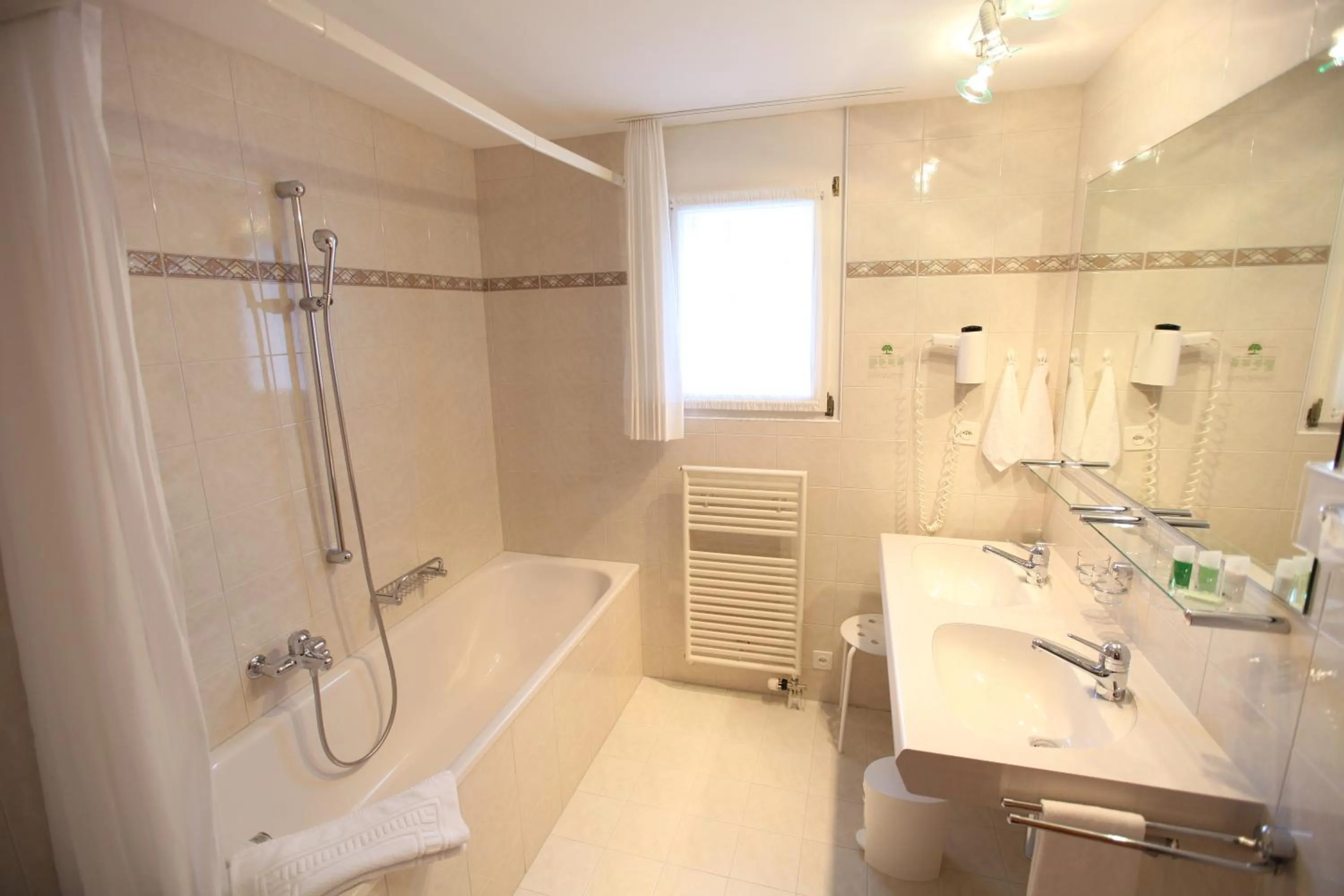 Bathroom in Typically Swiss Hotel Altana