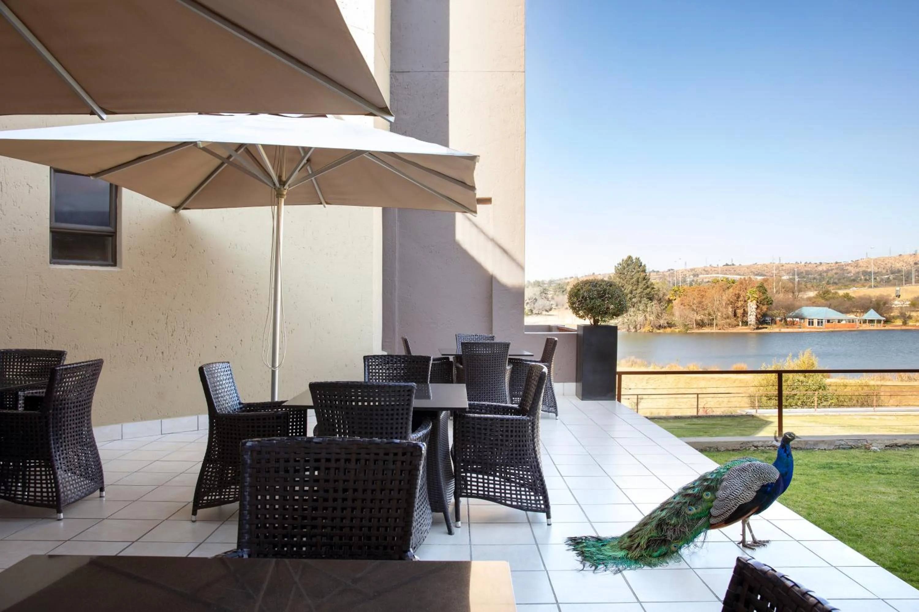 Patio in St Andrews Hotel and Spa