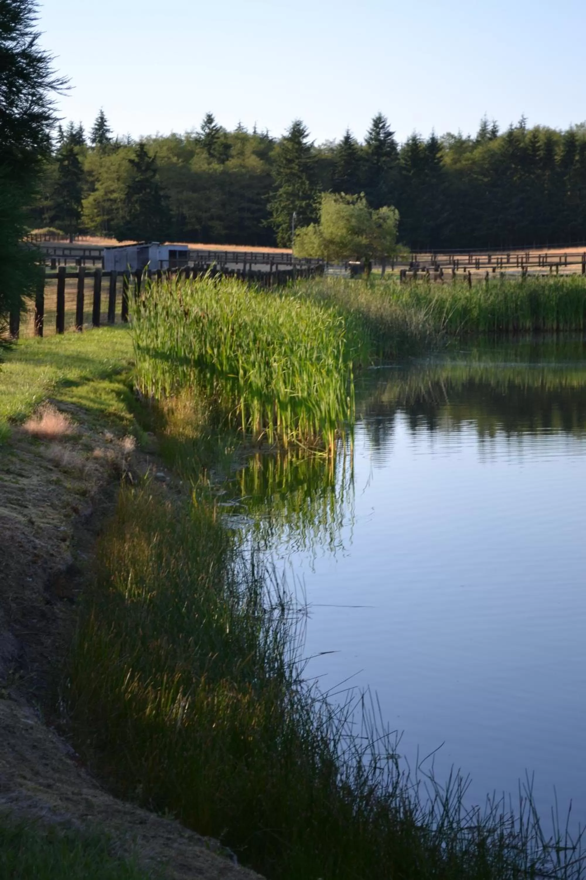 Natural landscape in Wildwood Farm Bed & Breakfast