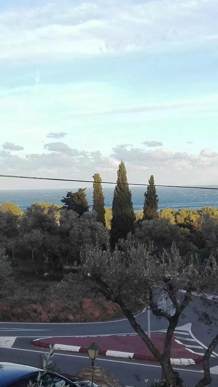 Natural landscape in Hostal Ondina