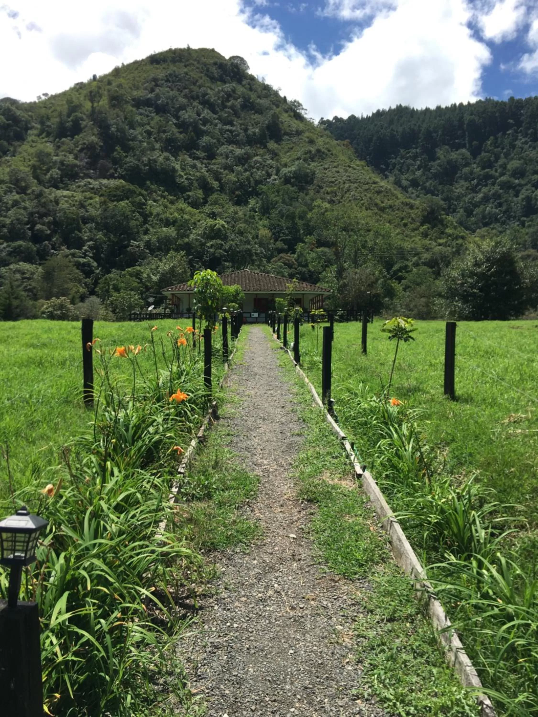 Natural landscape in La Cabaña Ecohotel - Valle del Cocora