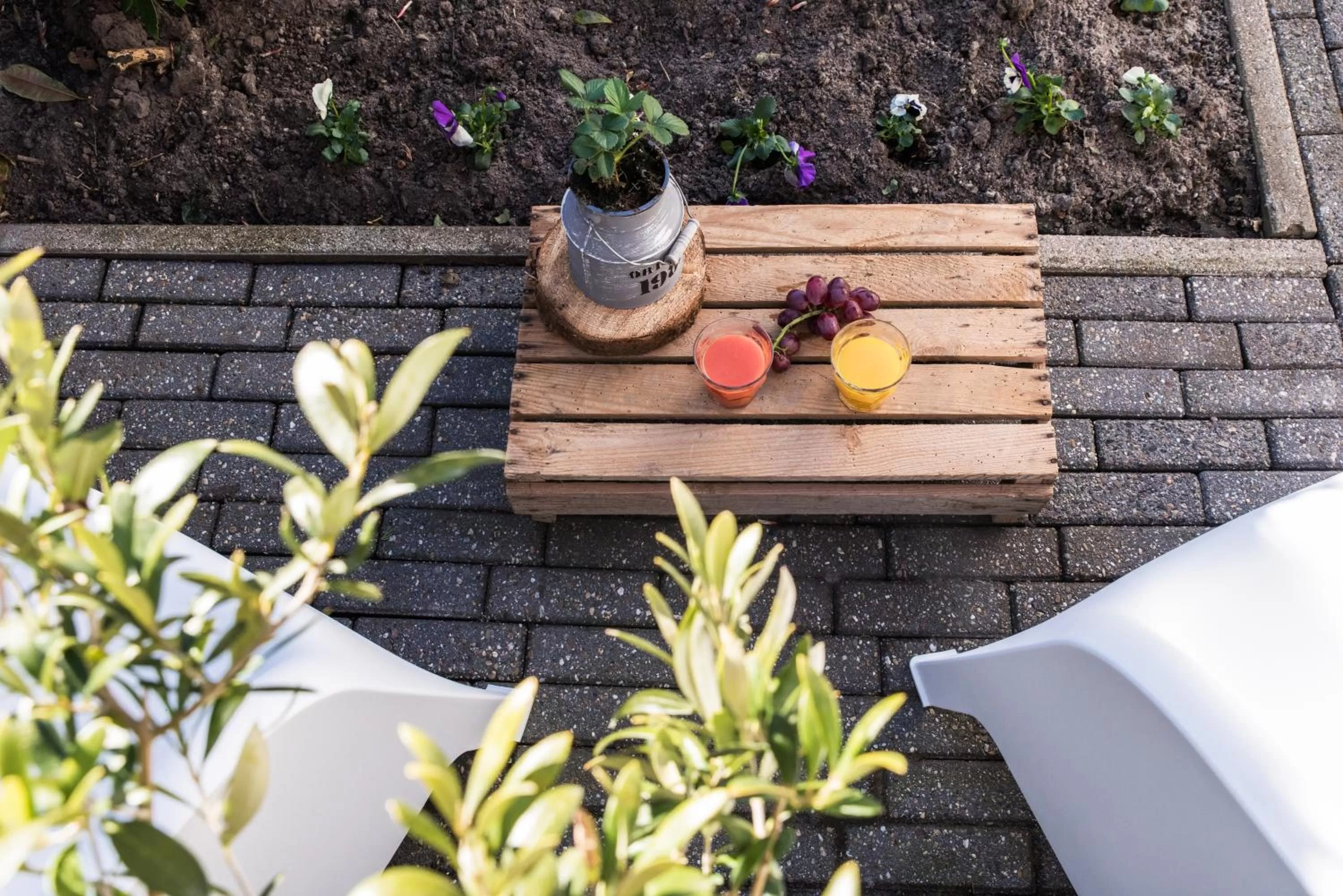 Garden in BnB It Hazzeleger Beetsterzwaag