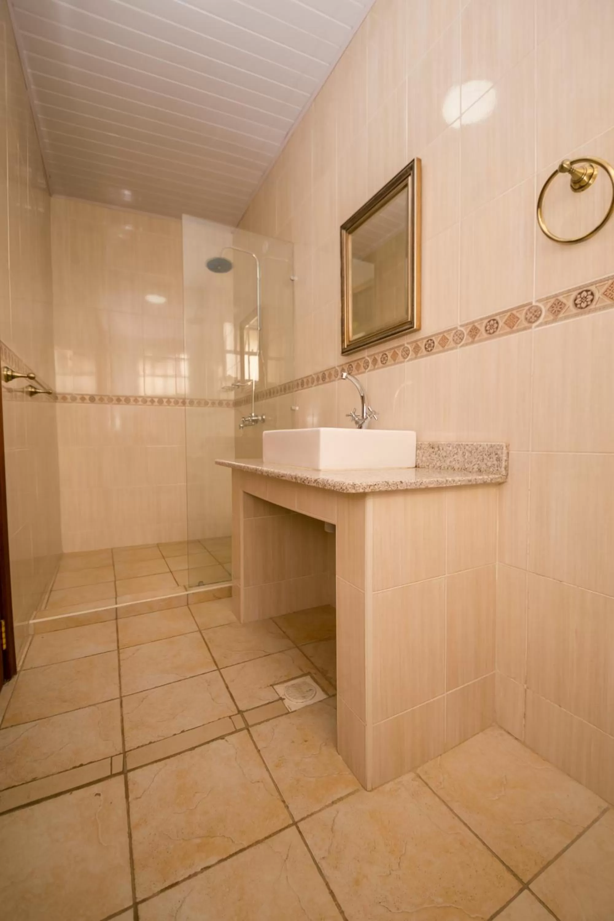 Shower, Bathroom in Hotel Rudi