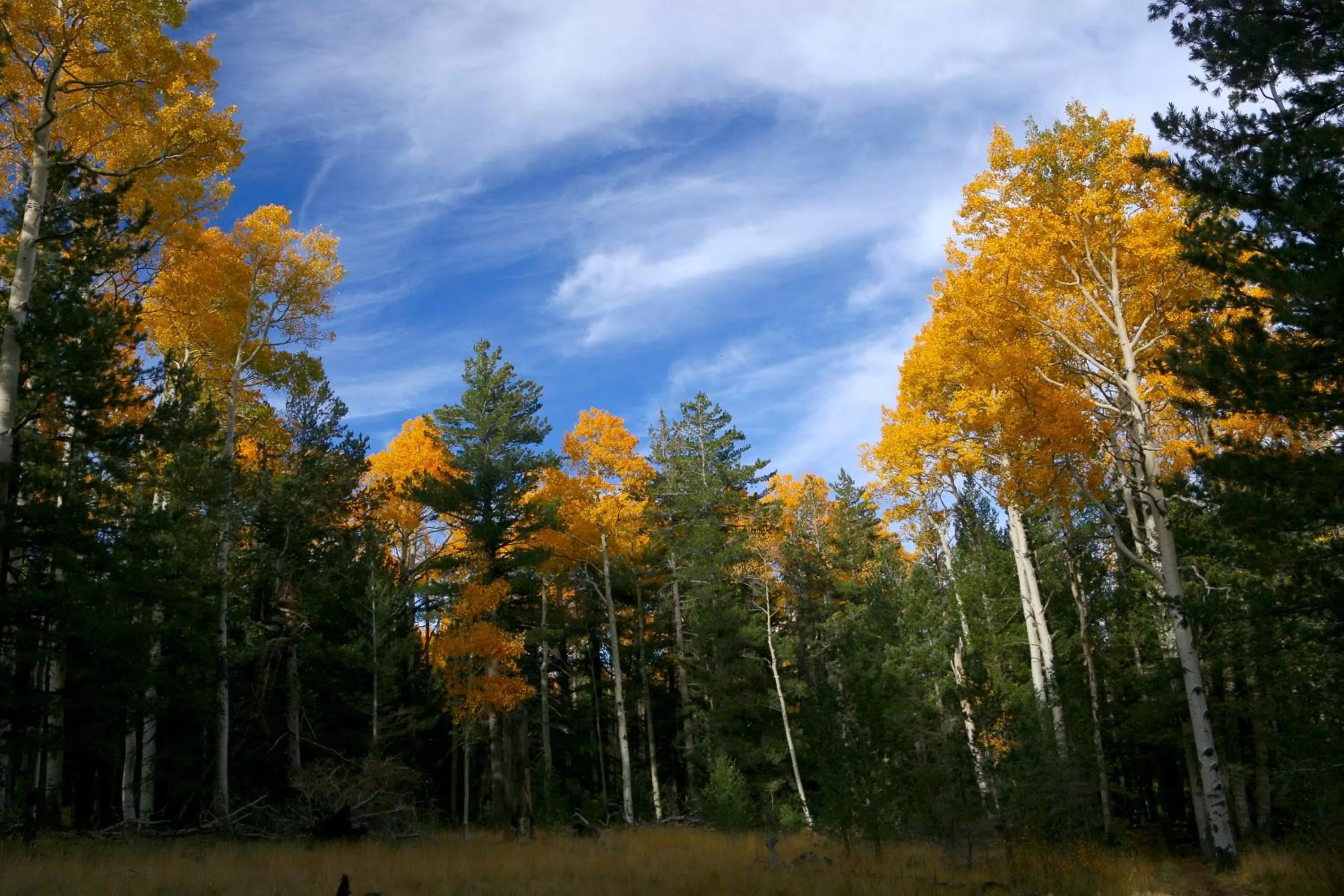 Natural landscape in Sedona Cathedral Hideaway LLC