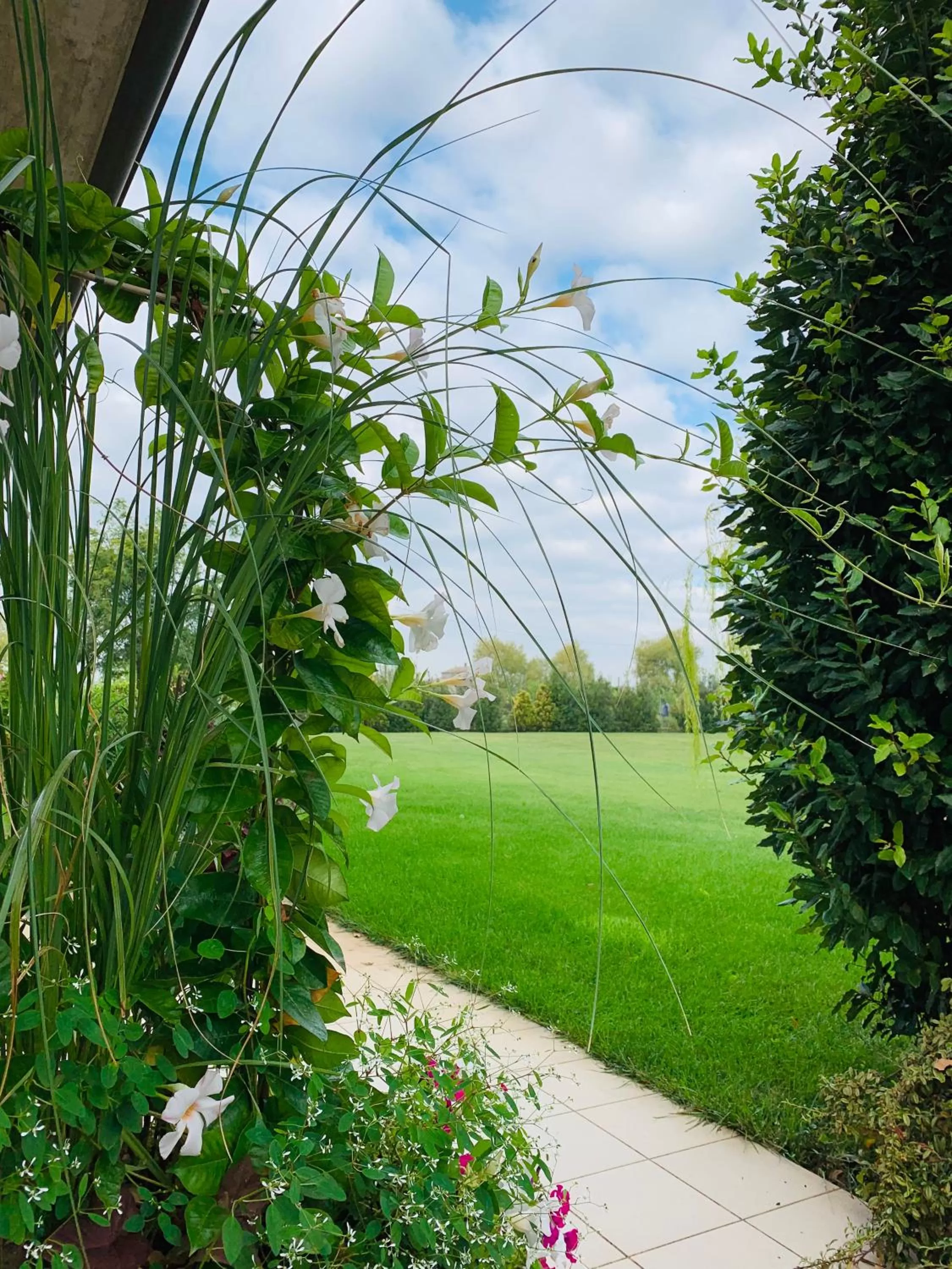 Garden in B&B Beauty House