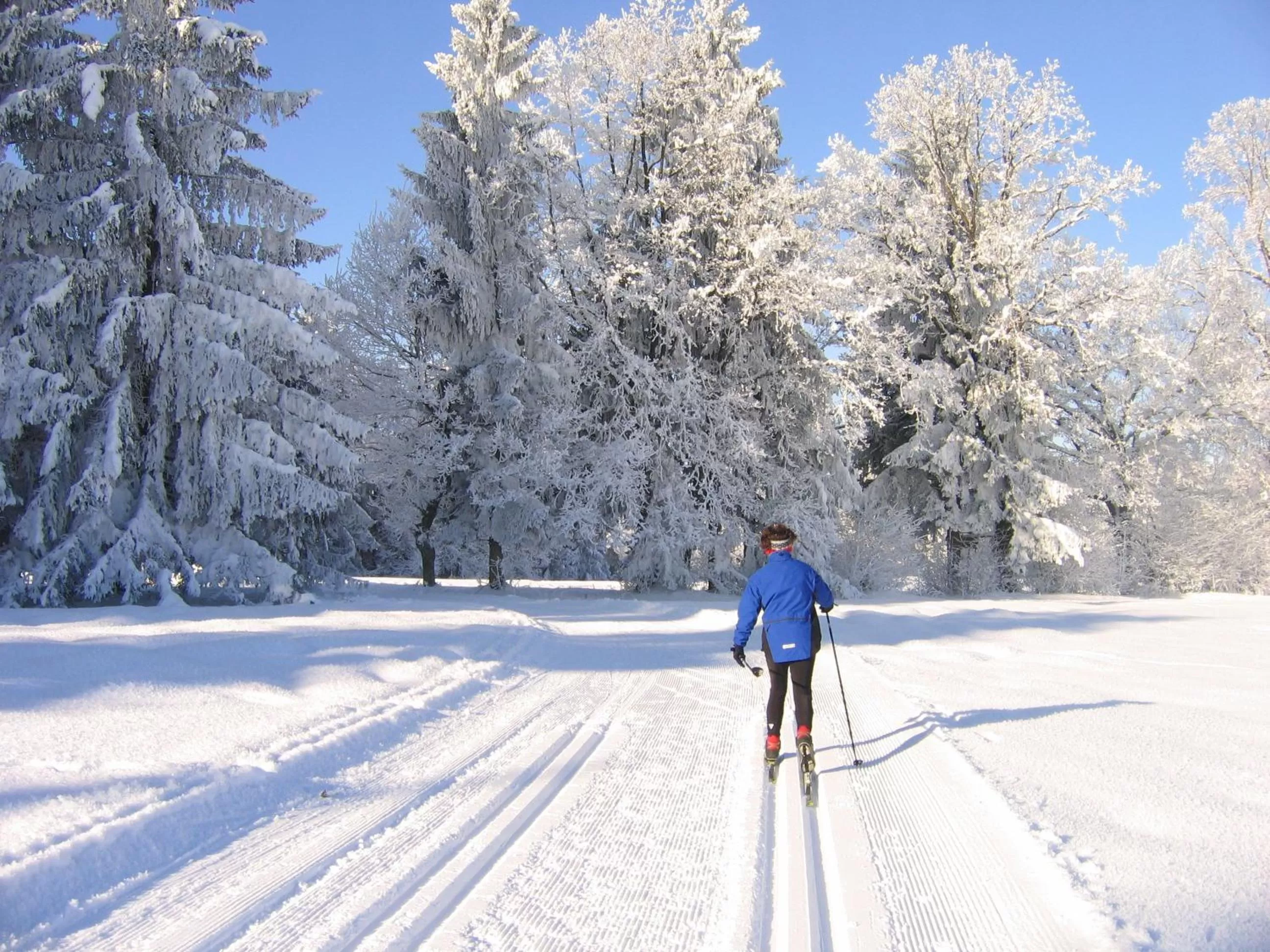 Area and facilities in Santeshotel
