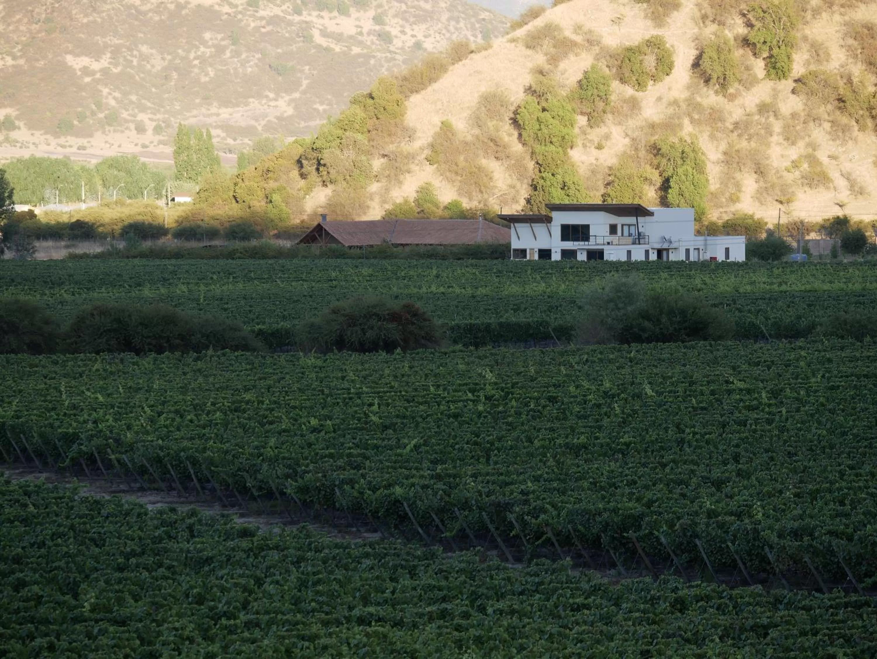 Natural landscape in Callihue Lodge