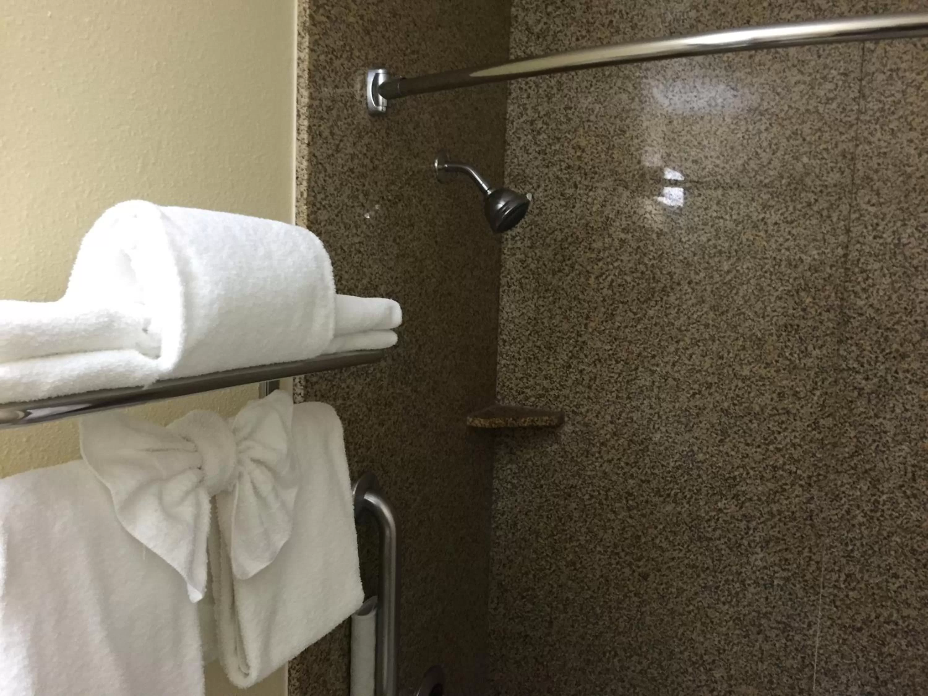 Shower in Howard Johnson by Wyndham San Diego Sea World