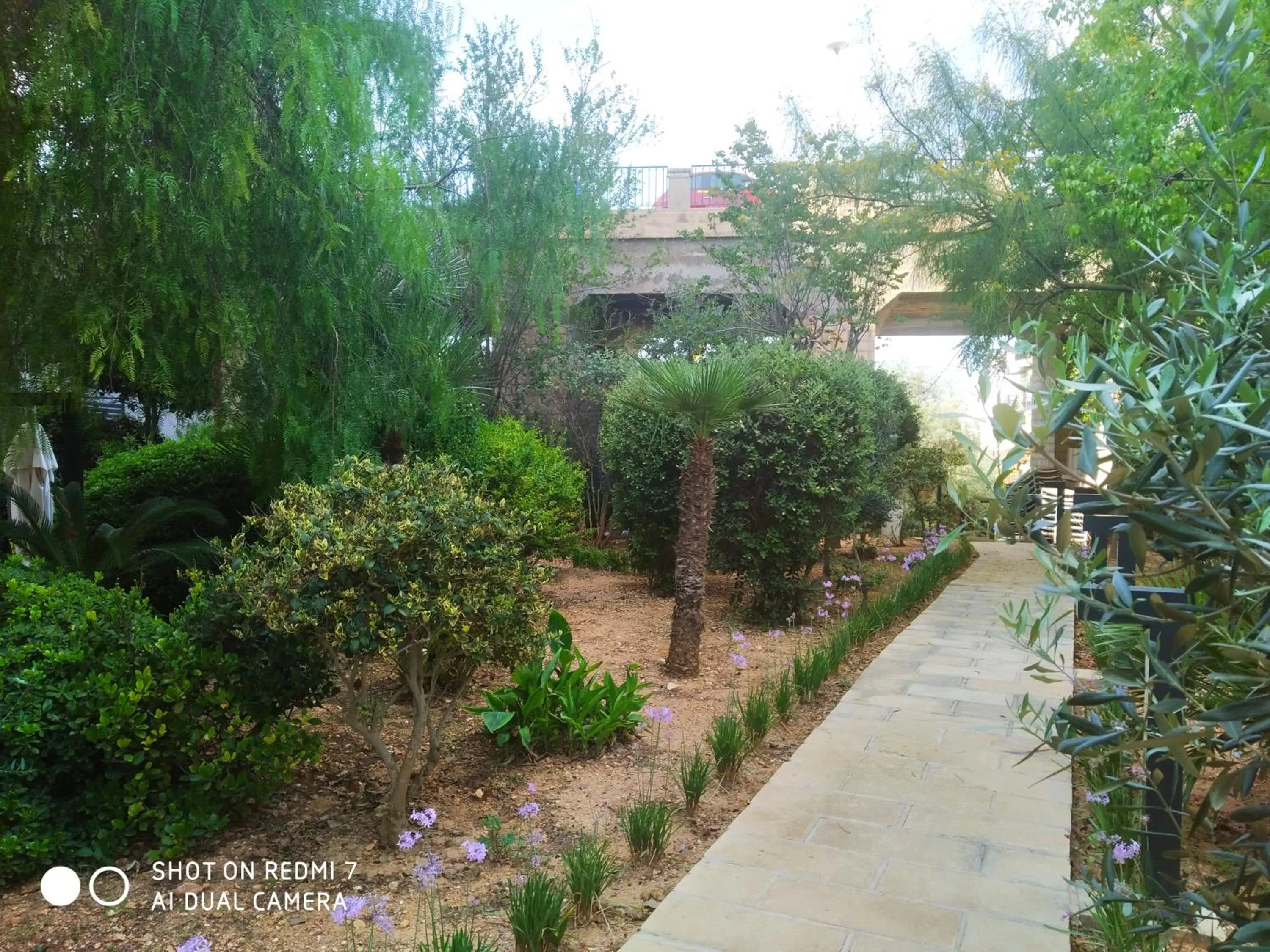 Garden in Maritim Antonine Hotel & Spa