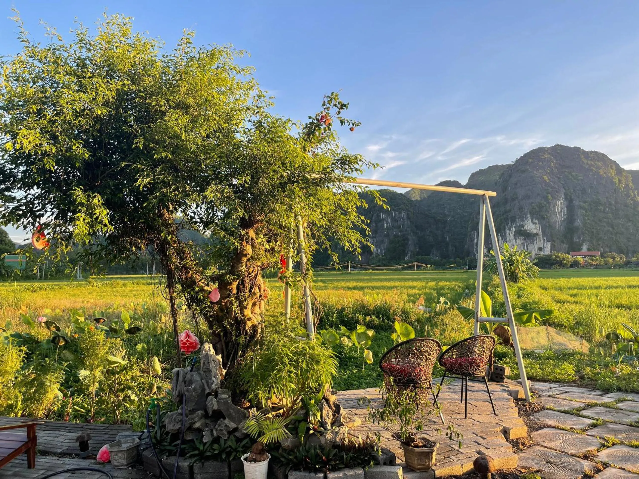 Garden in Tam Coc Mountain View Homestay