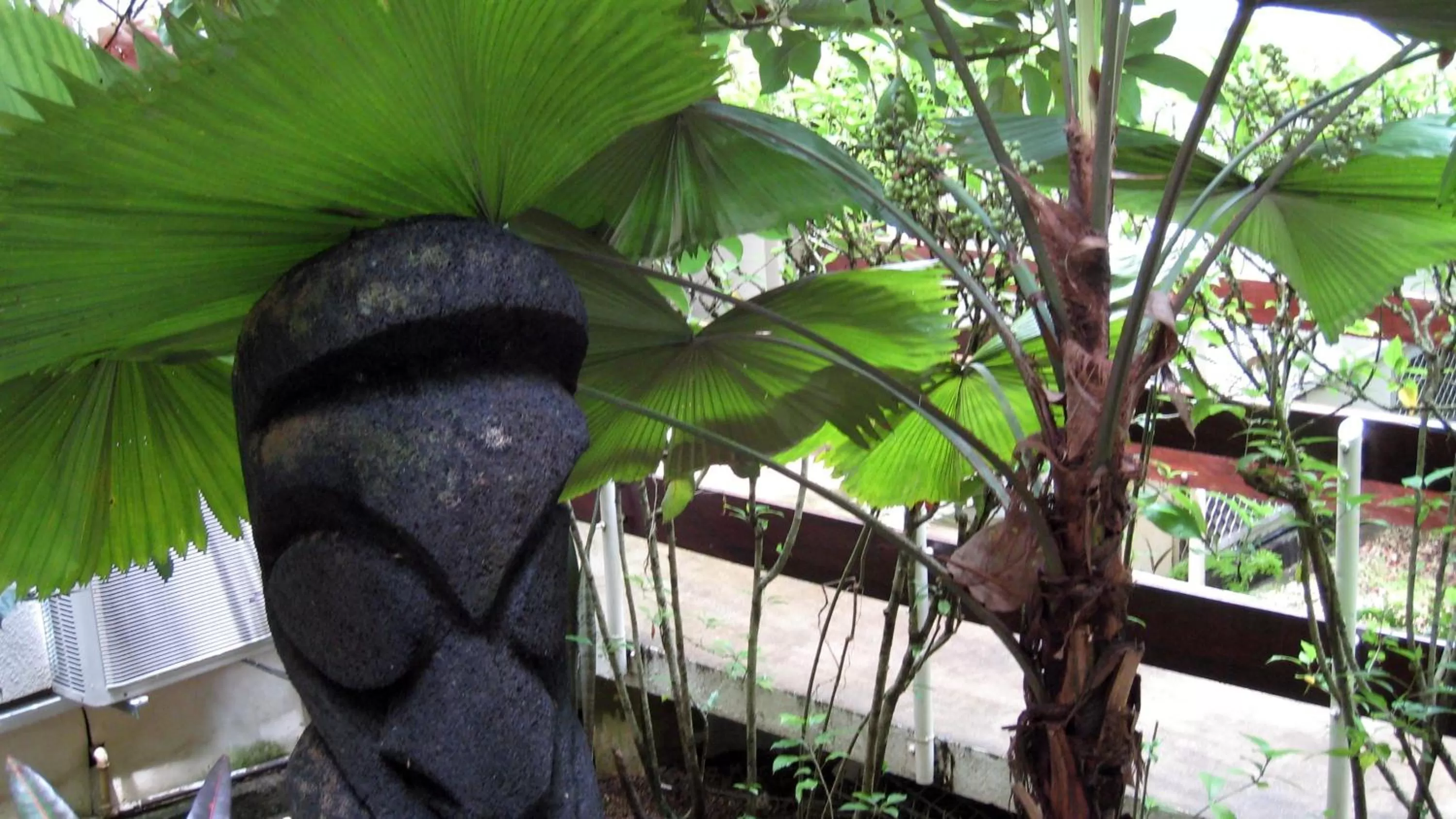 Balcony/Terrace in Coral Motel & Apartments