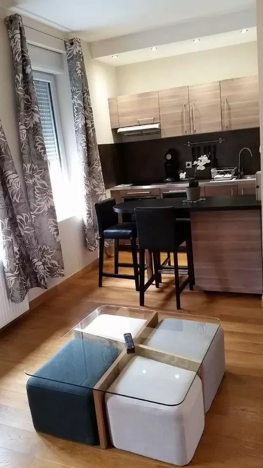 Kitchen or kitchenette in Hôtel & Appartements Le Florence