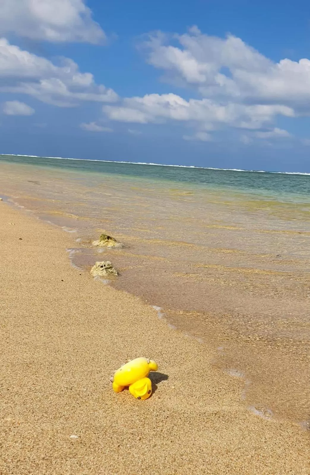 Natural landscape, Beach in 108 Palms Beach Resort