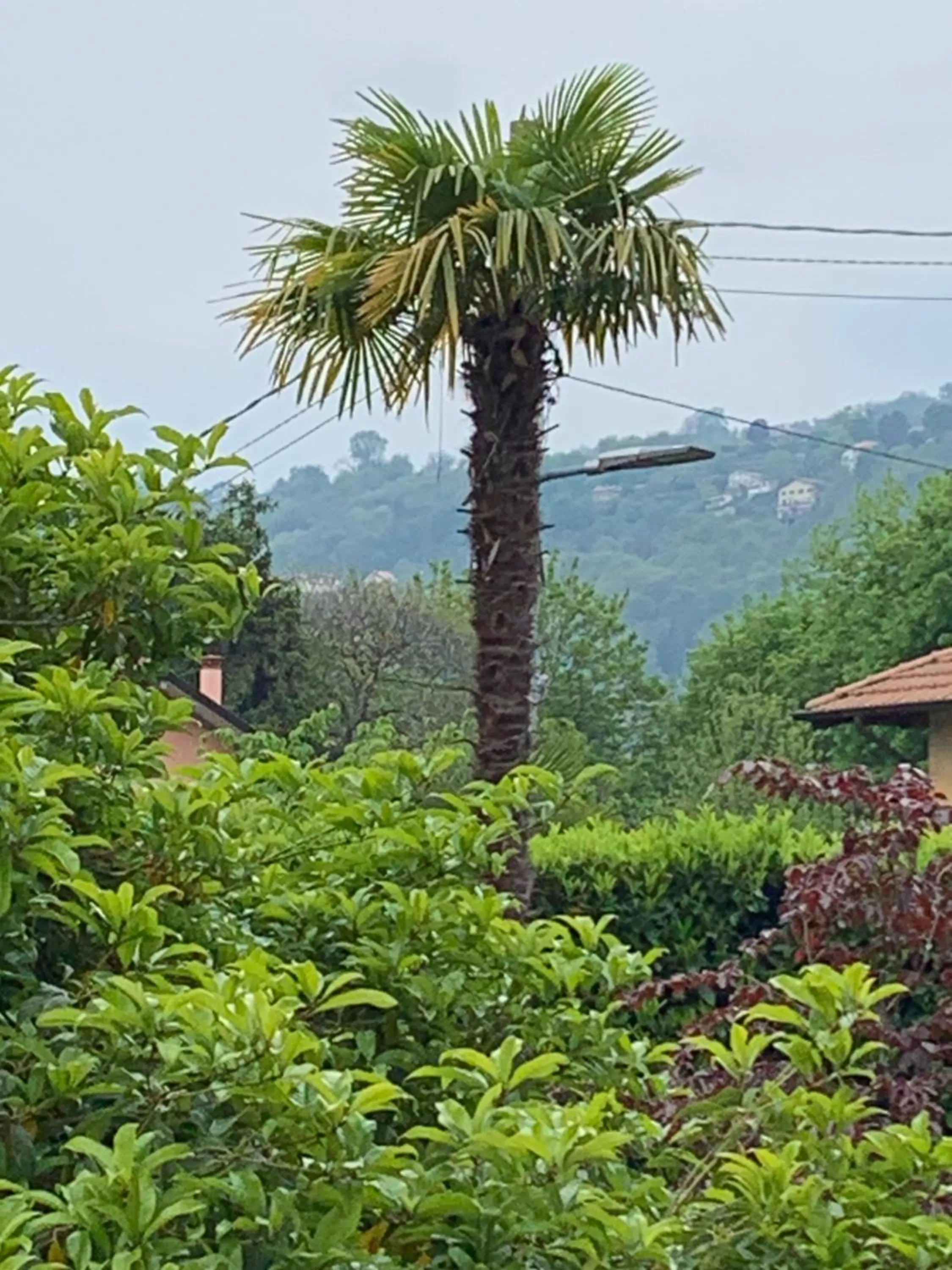 Mountain view in CASABELLA-LAGO MAGGIORE