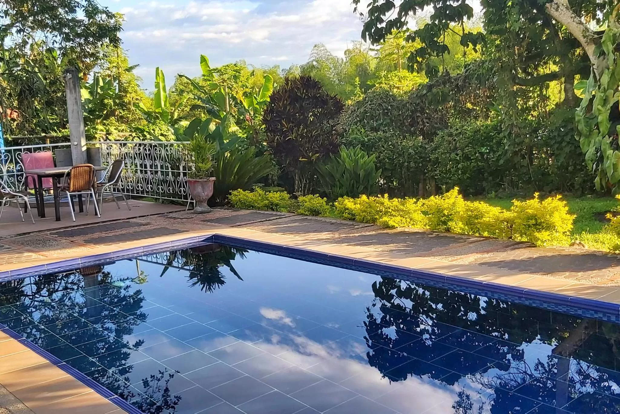 Garden, Swimming Pool in Balsora Hotel Boutique