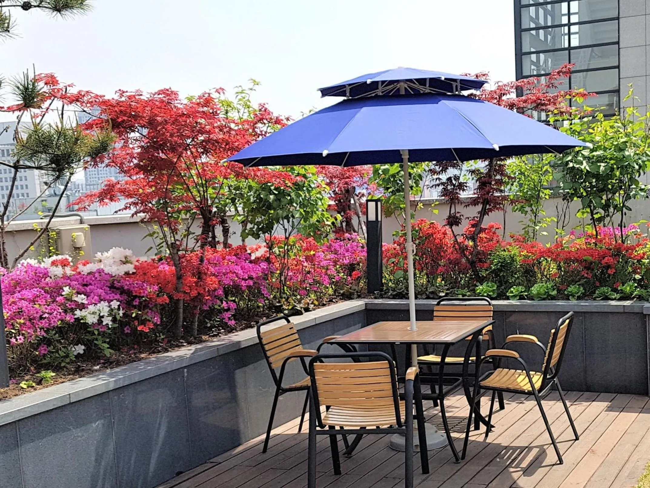 Area and facilities in Hotel Nafore