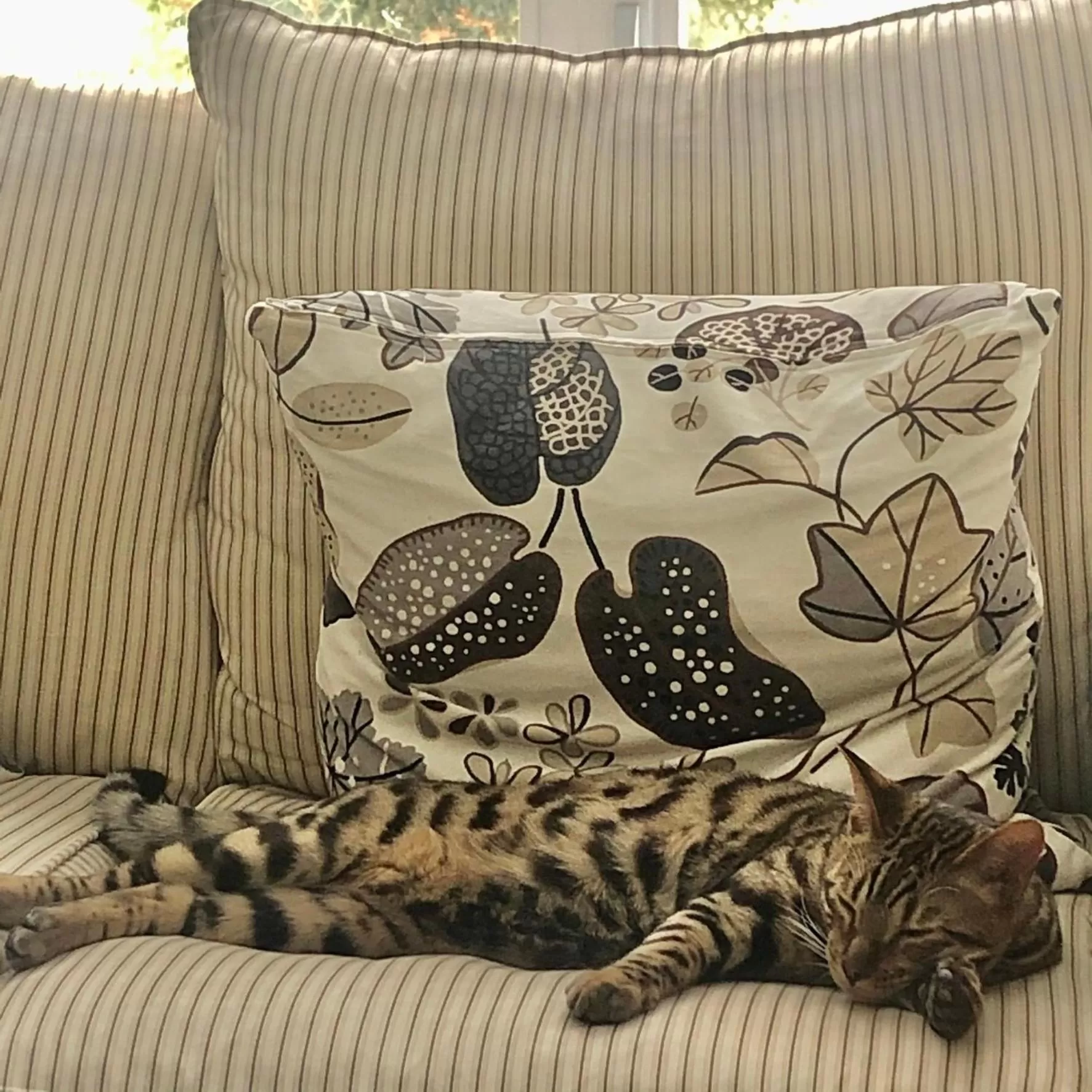 Animals in Au Gré Du Temps - Gîte B&B