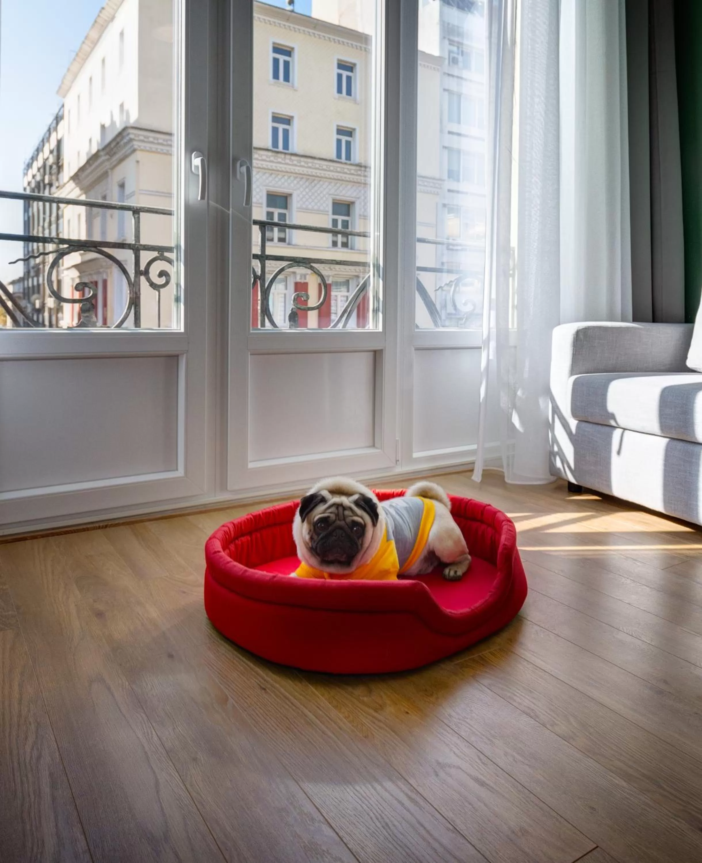 Animals in Colors Urban Hotel Thessaloniki