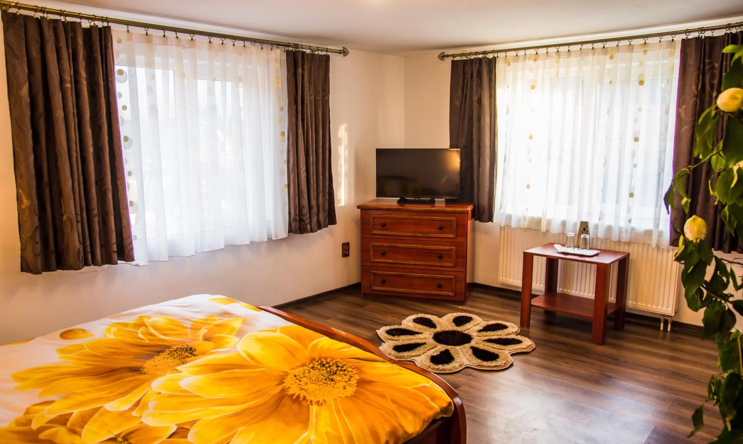 Property building in Pensiunea SilvAnka