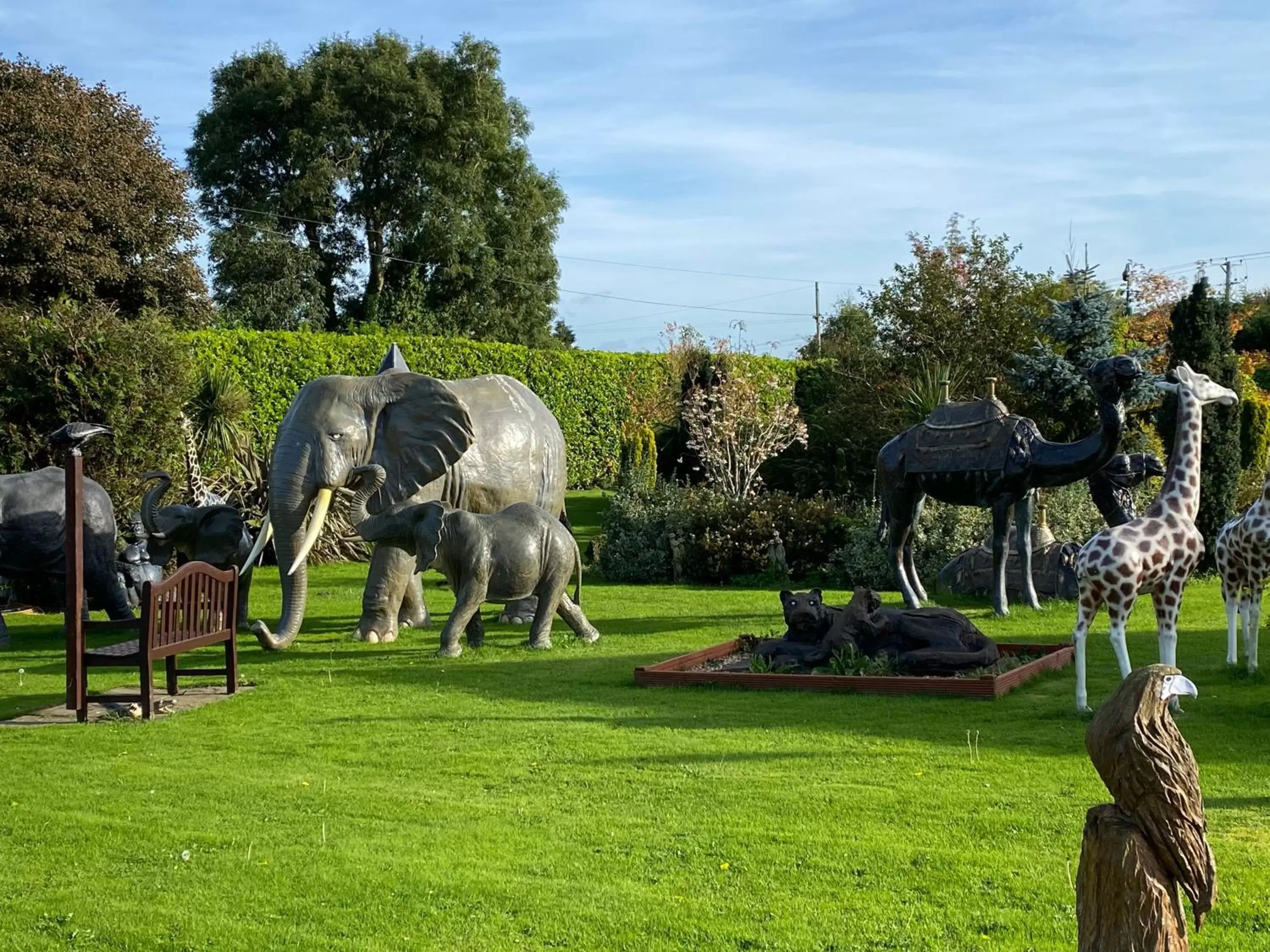 Garden in The Hilltop Haven Garden in The Hilltop Haven