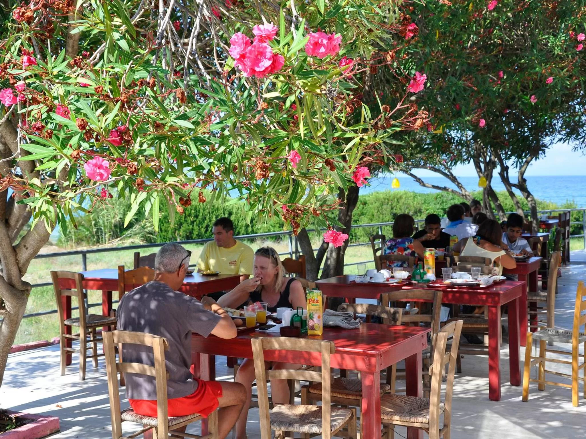 Restaurant/places to eat in Pink Palace Beach Resort