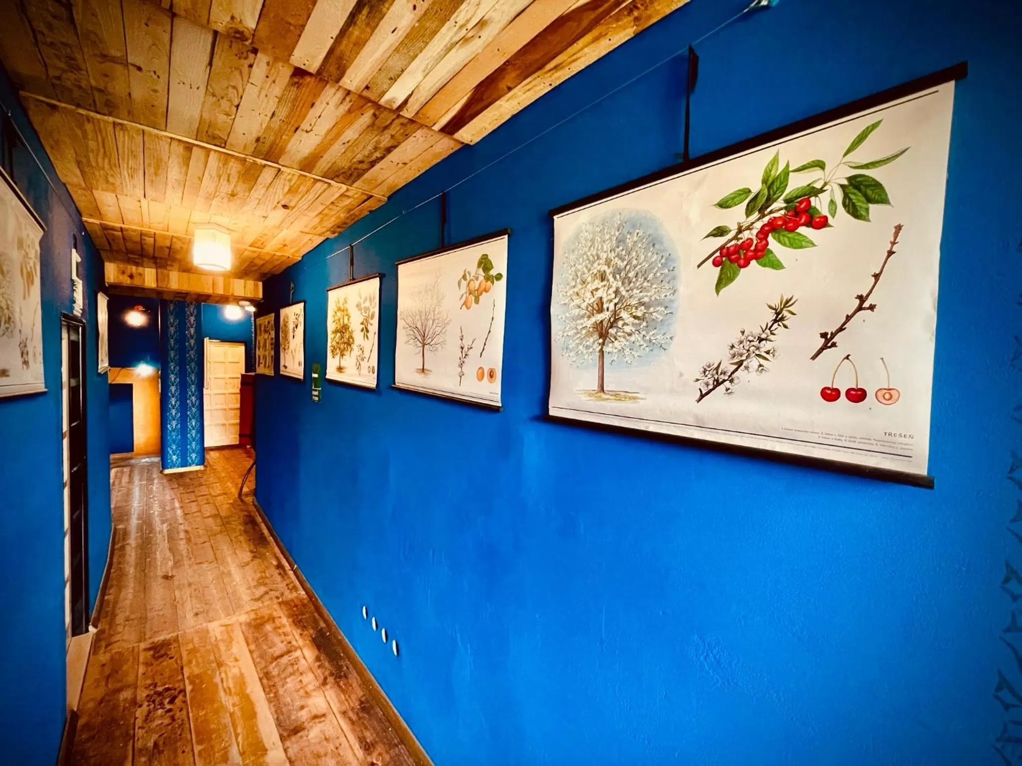 HARABURDI® Recyclart Hotel